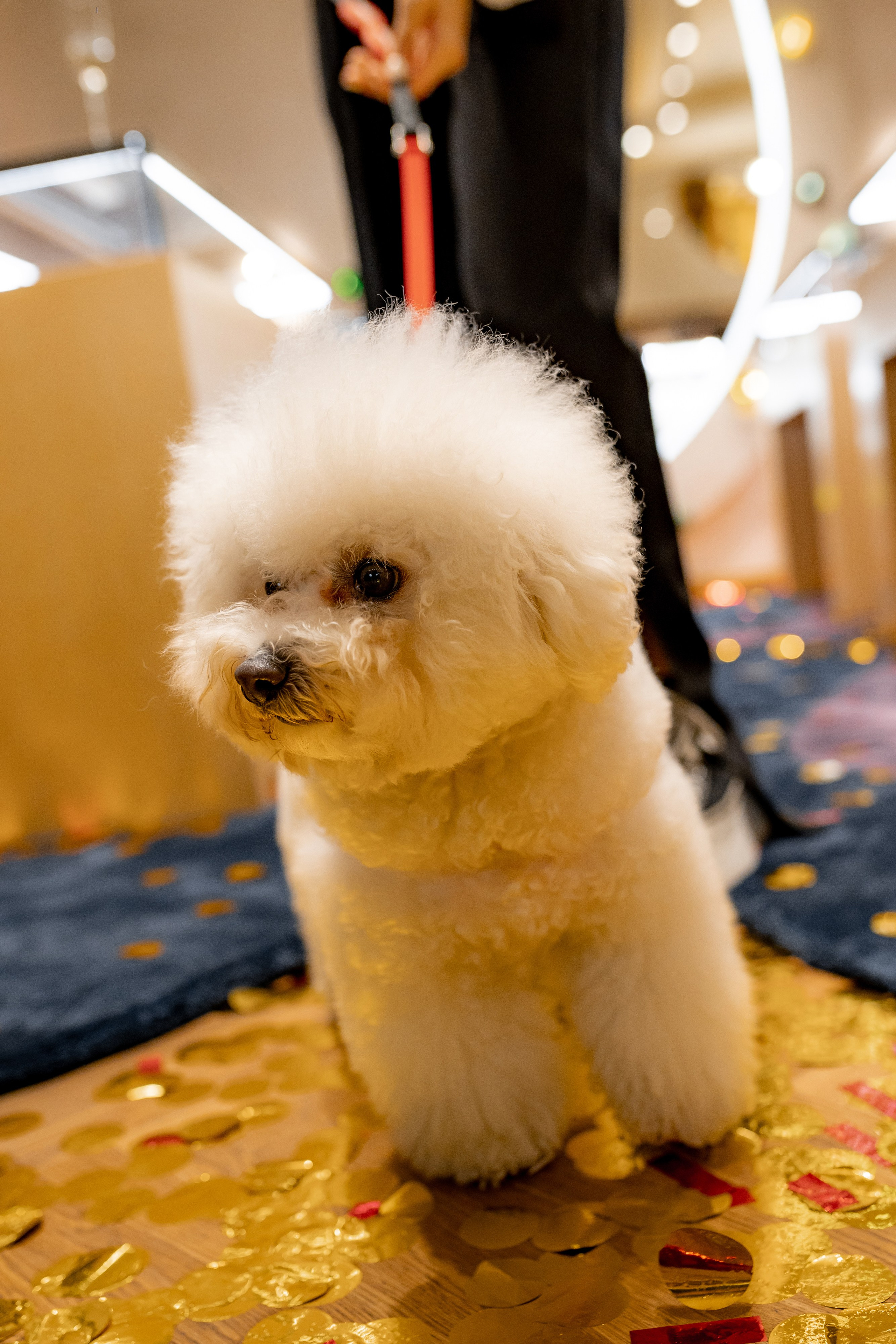 Le Noir. Главная