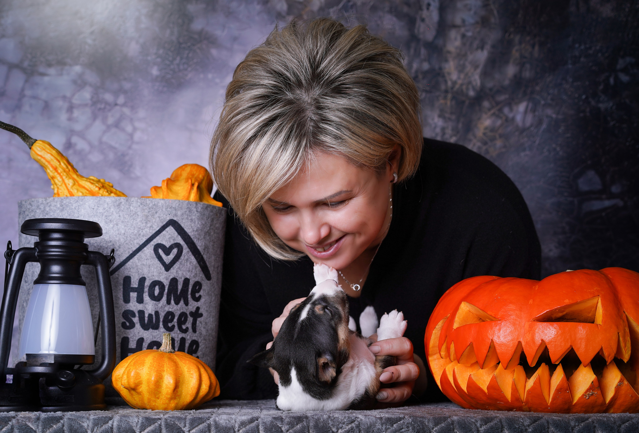 Щенки минибультерьера. Фотограф-анималист в Санкт-Петербурге Яна Мартынова