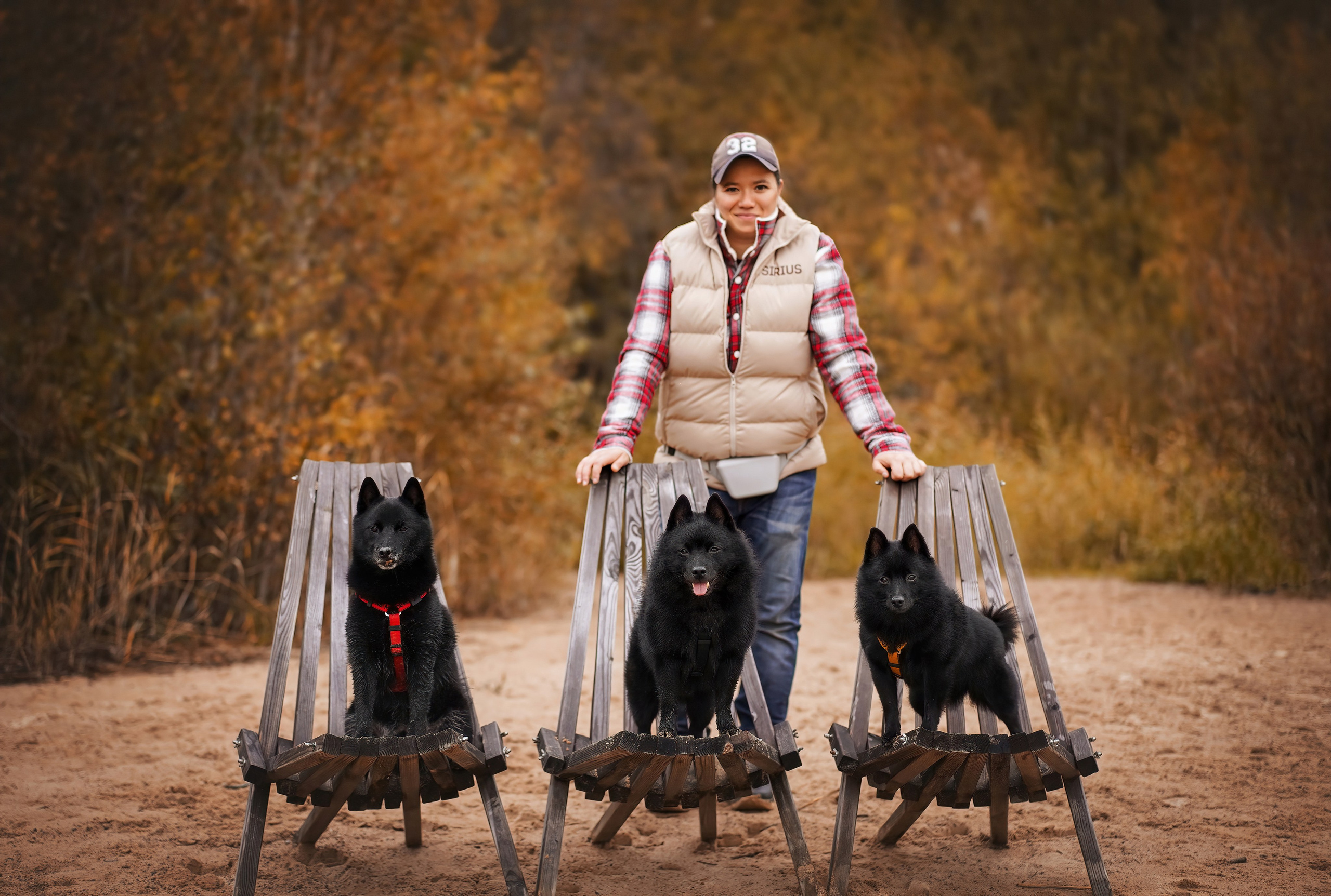 Аня Мишель Арчи и Майкл. Фотограф-анималист в Санкт-Петербурге Яна Мартынова