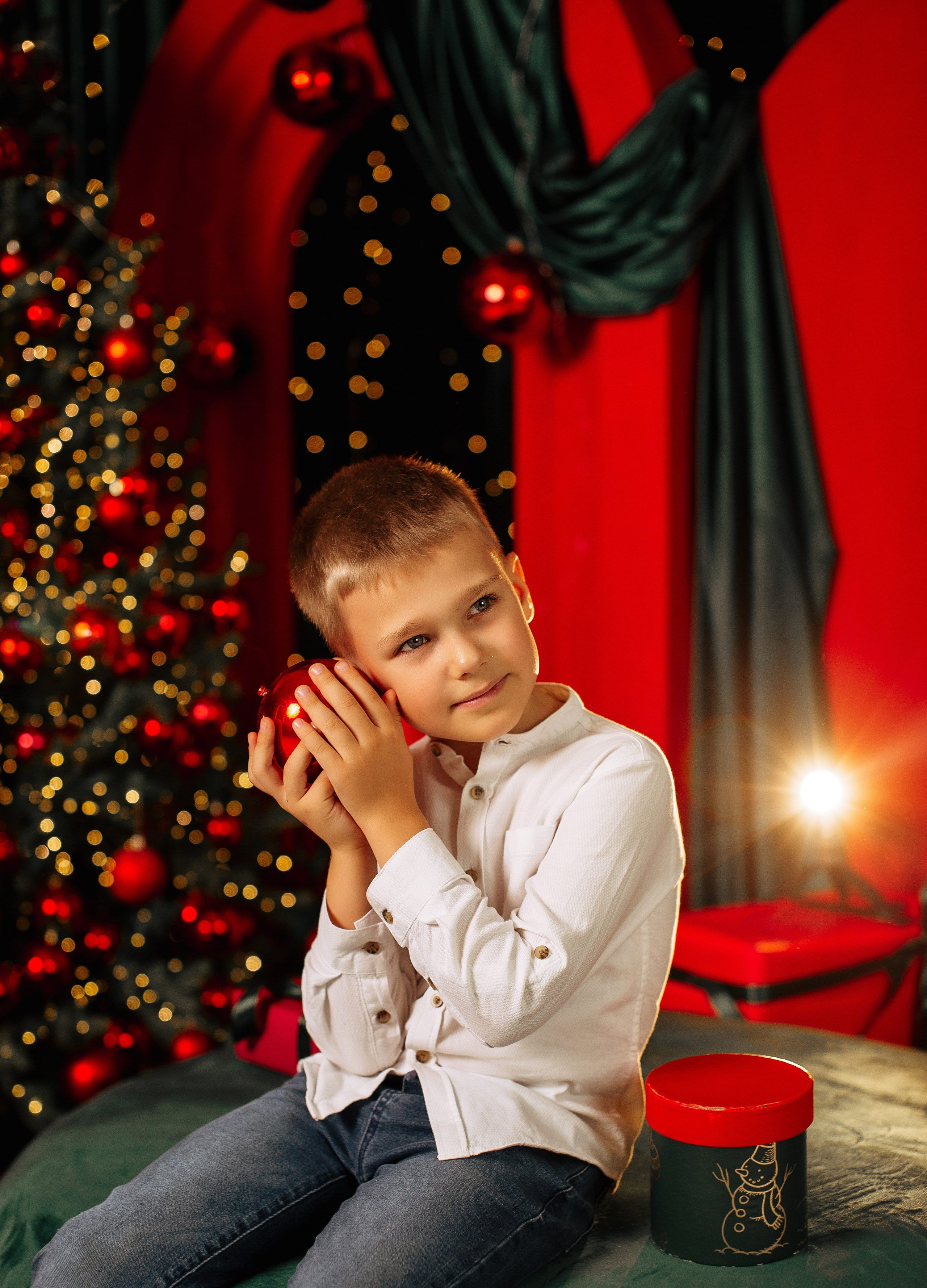 Новогодняя. Https://malovafoto.ru