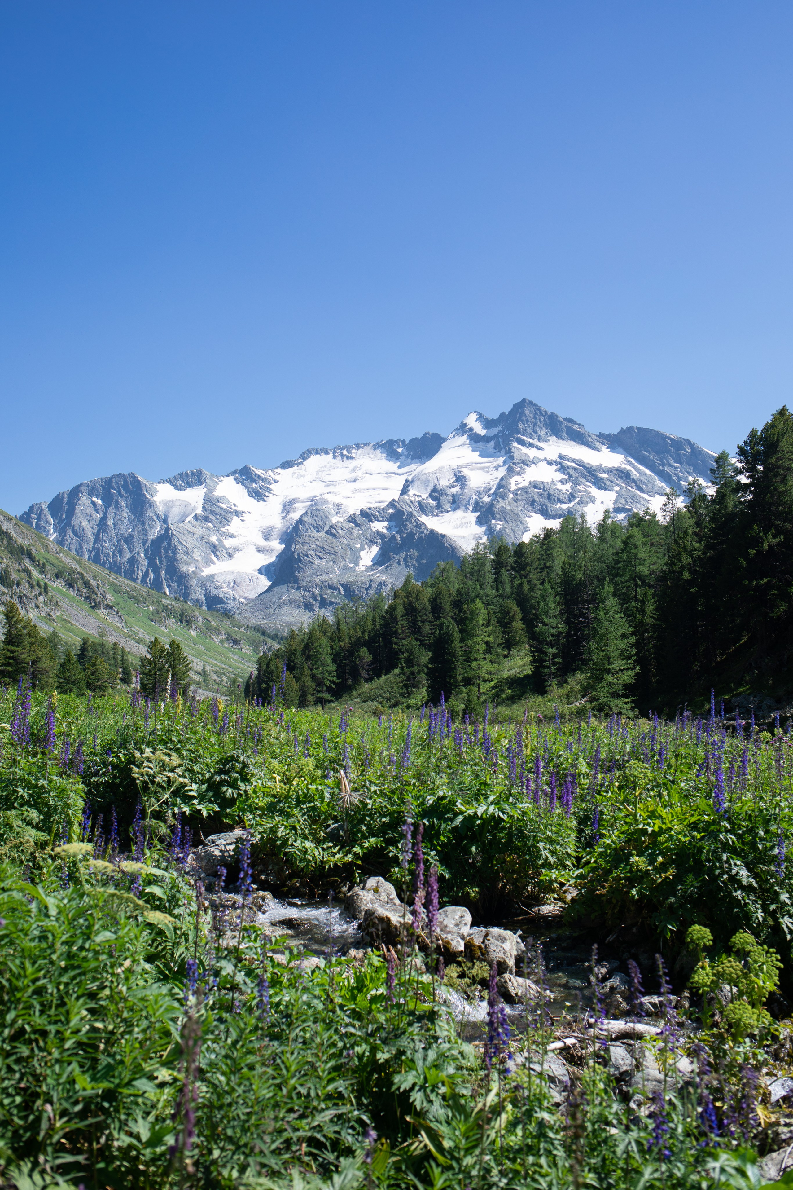 Altai. Yulia Tsyganova