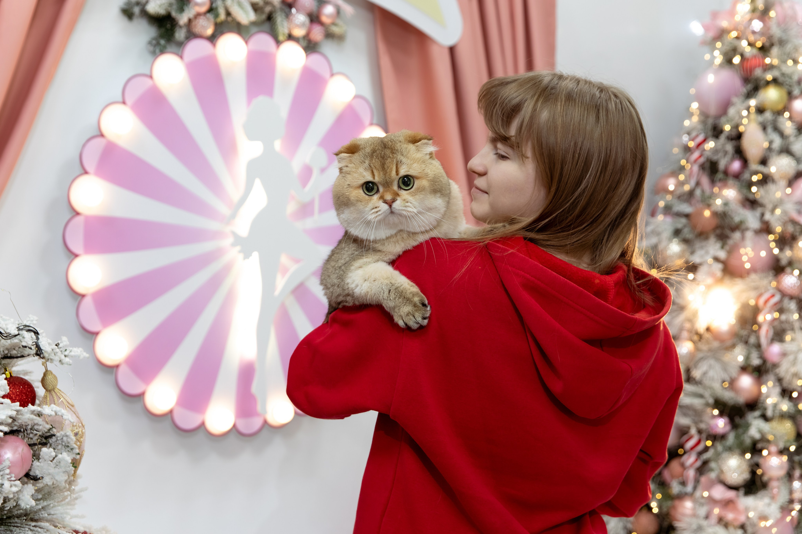 Фотосессии с питомцами в Сургуте