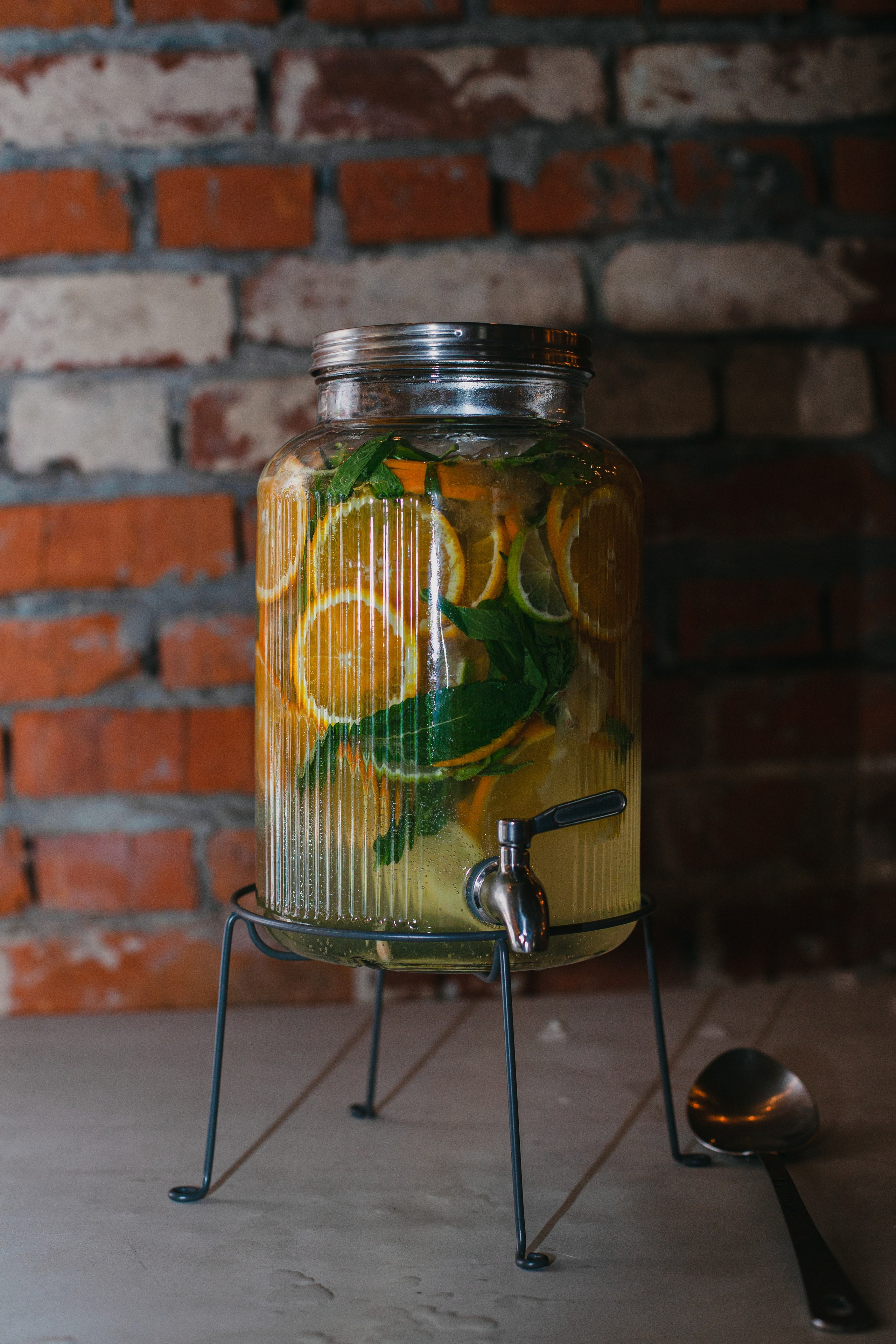 Бульбалл 23.04.2023. Фотограф-анималист Татьяна Степанова