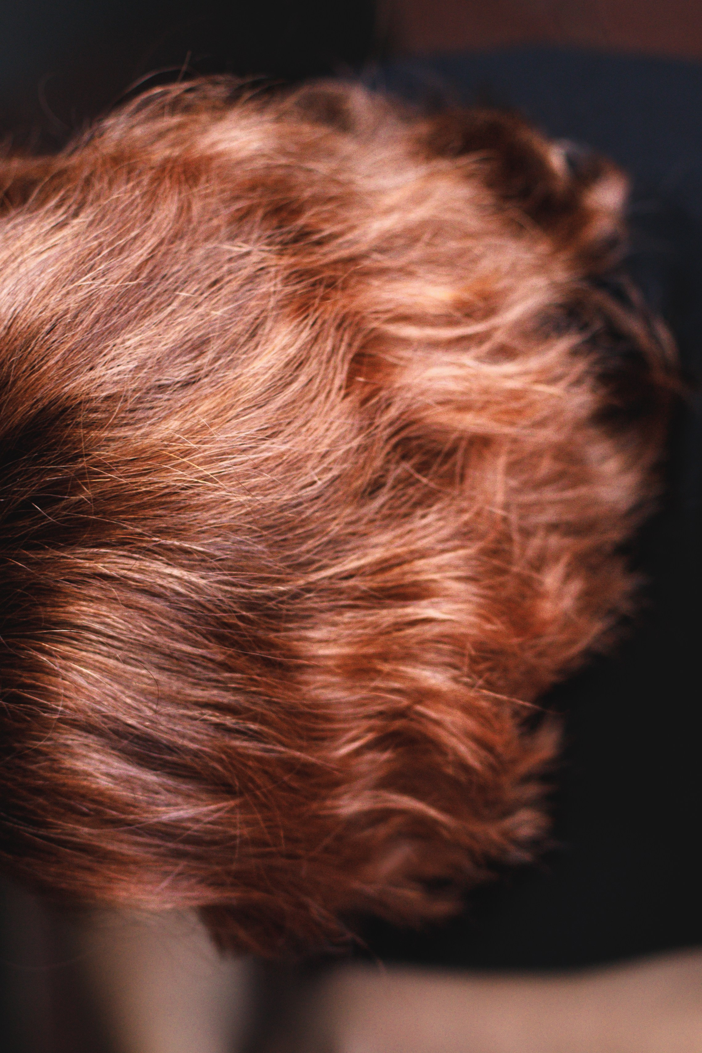 Лена. Семейный и школьный фотограф в Москве Анна Ткач