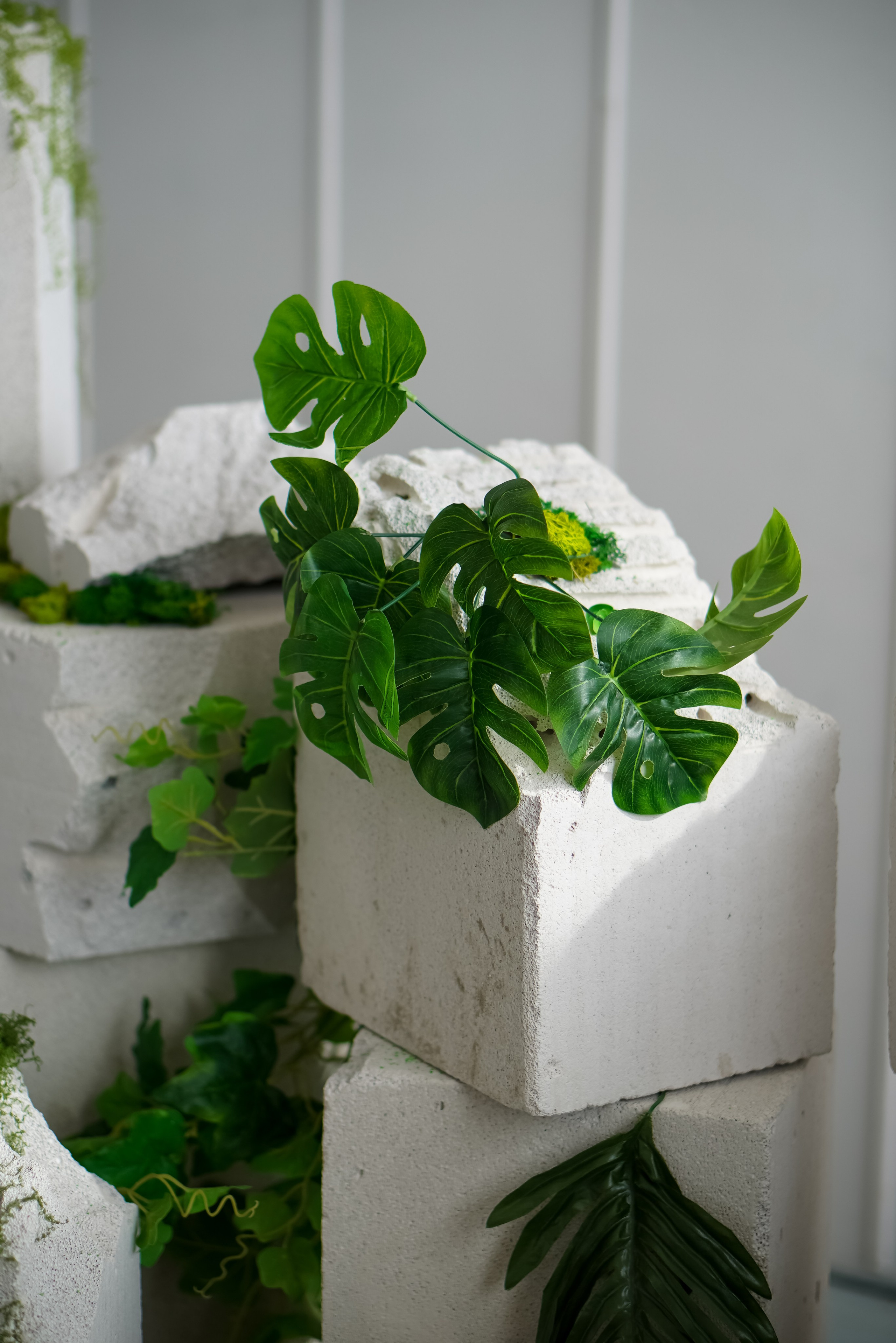 Зал Life фотостудия Импульс. Фотостудия в Саратове. Фотограф в Саратове