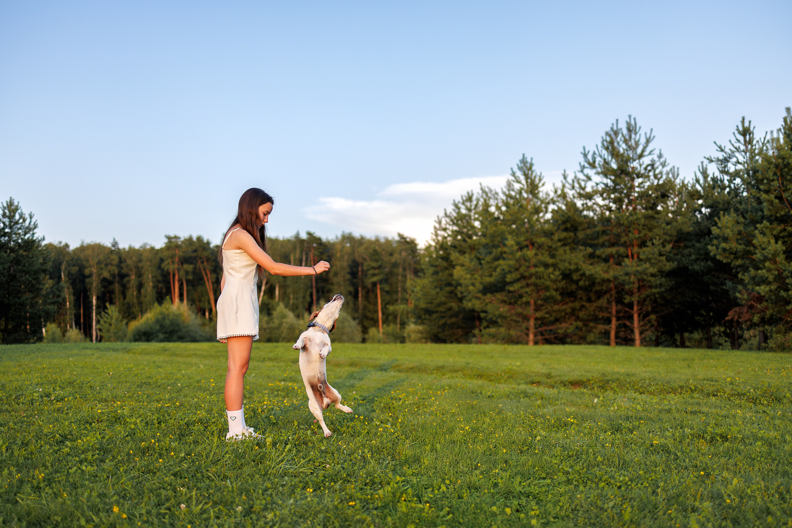 Юлиана и Риф (в обработке). Фотограф Анималист в Москве Анастасия Жучкова