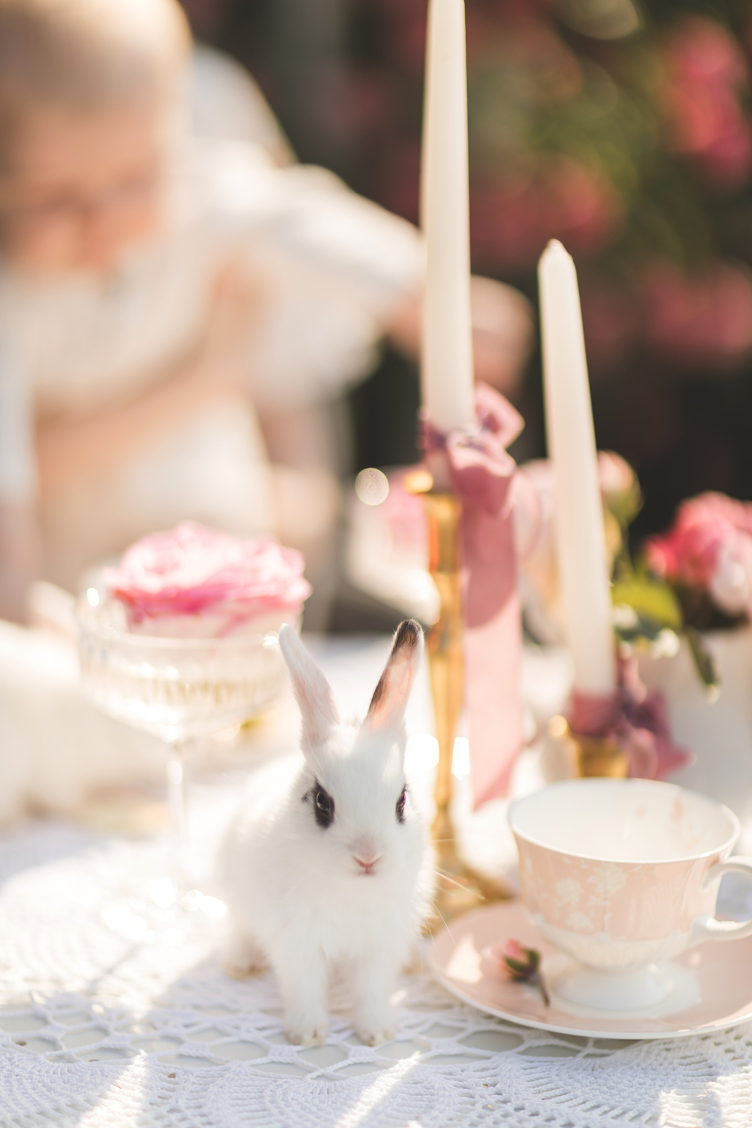 Крыльцо с розами. Семейный и детский фотограф Краснодар Валерия Власенко