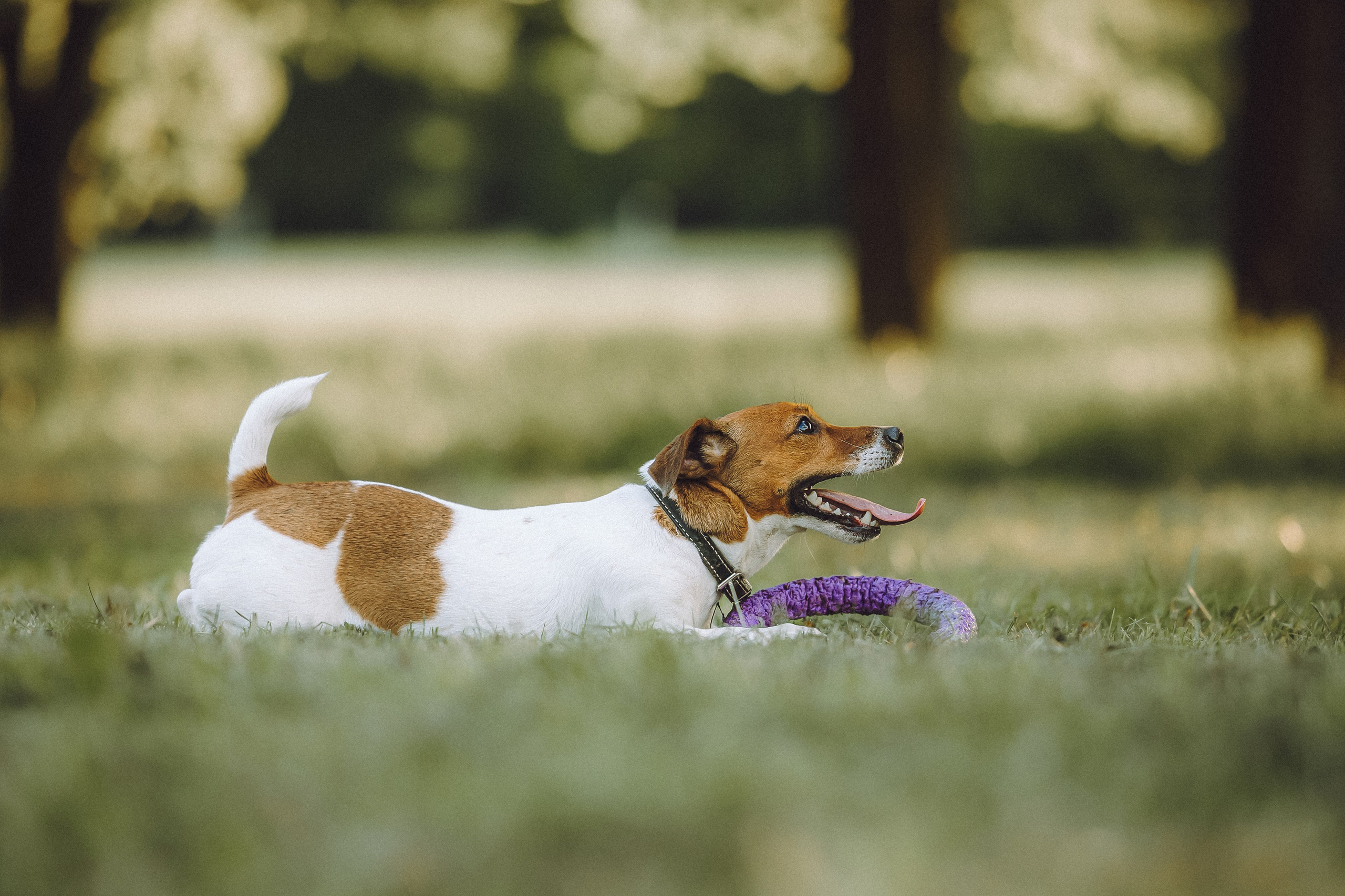 Шерри и ее семья