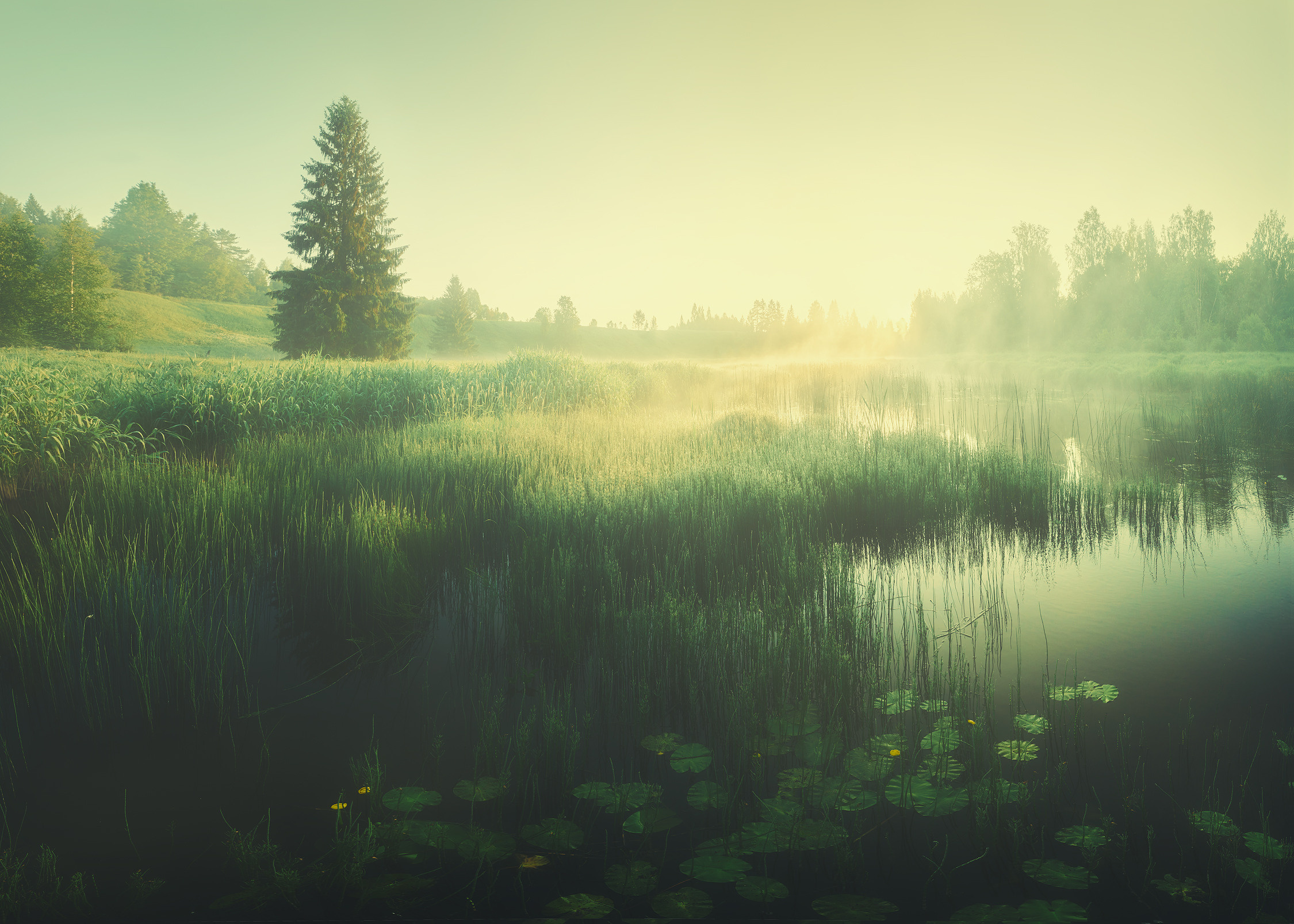 Новое. Красота природы. Фотограф Кононов Антон