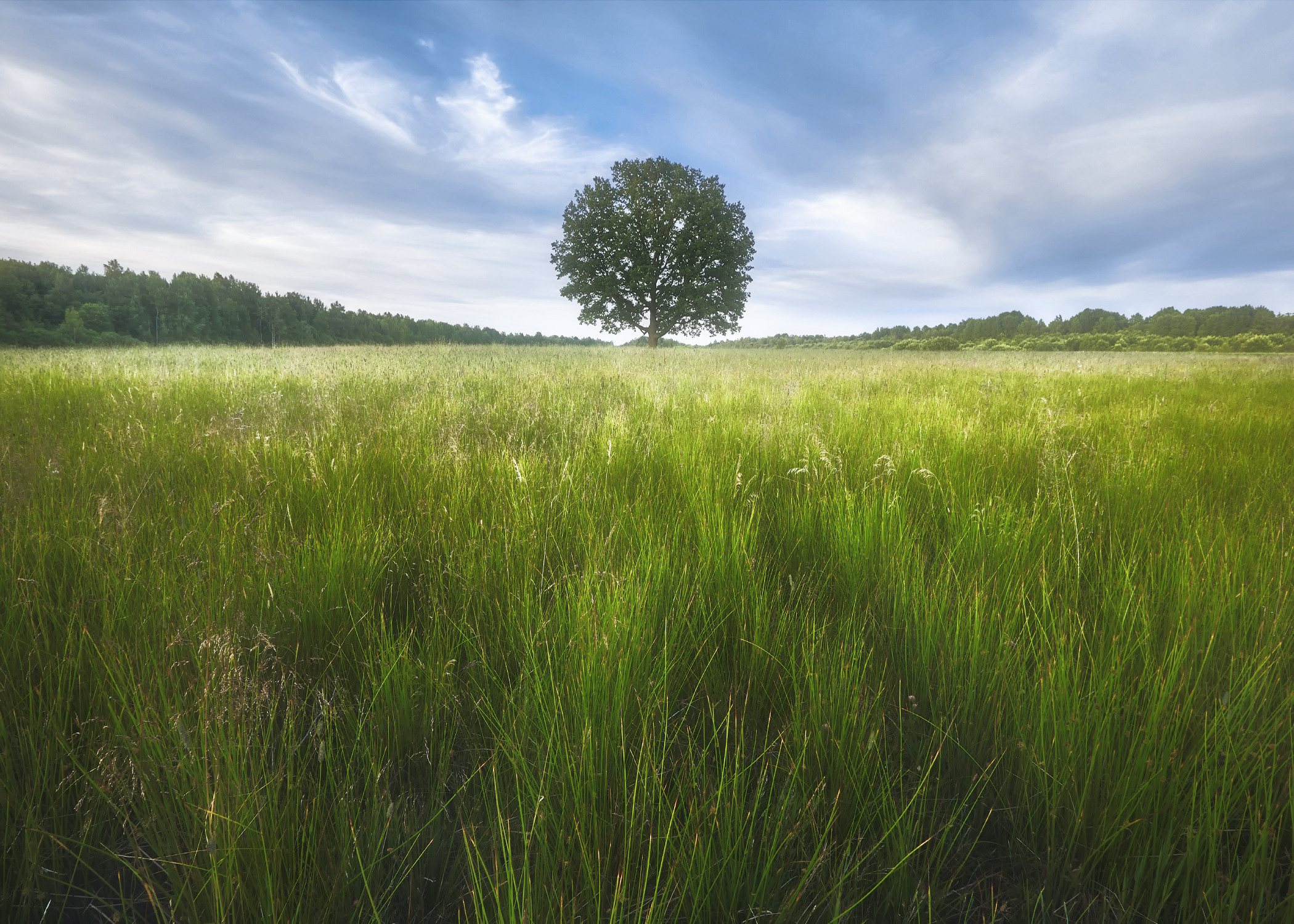 Новое. Красота природы. Фотограф Кононов Антон