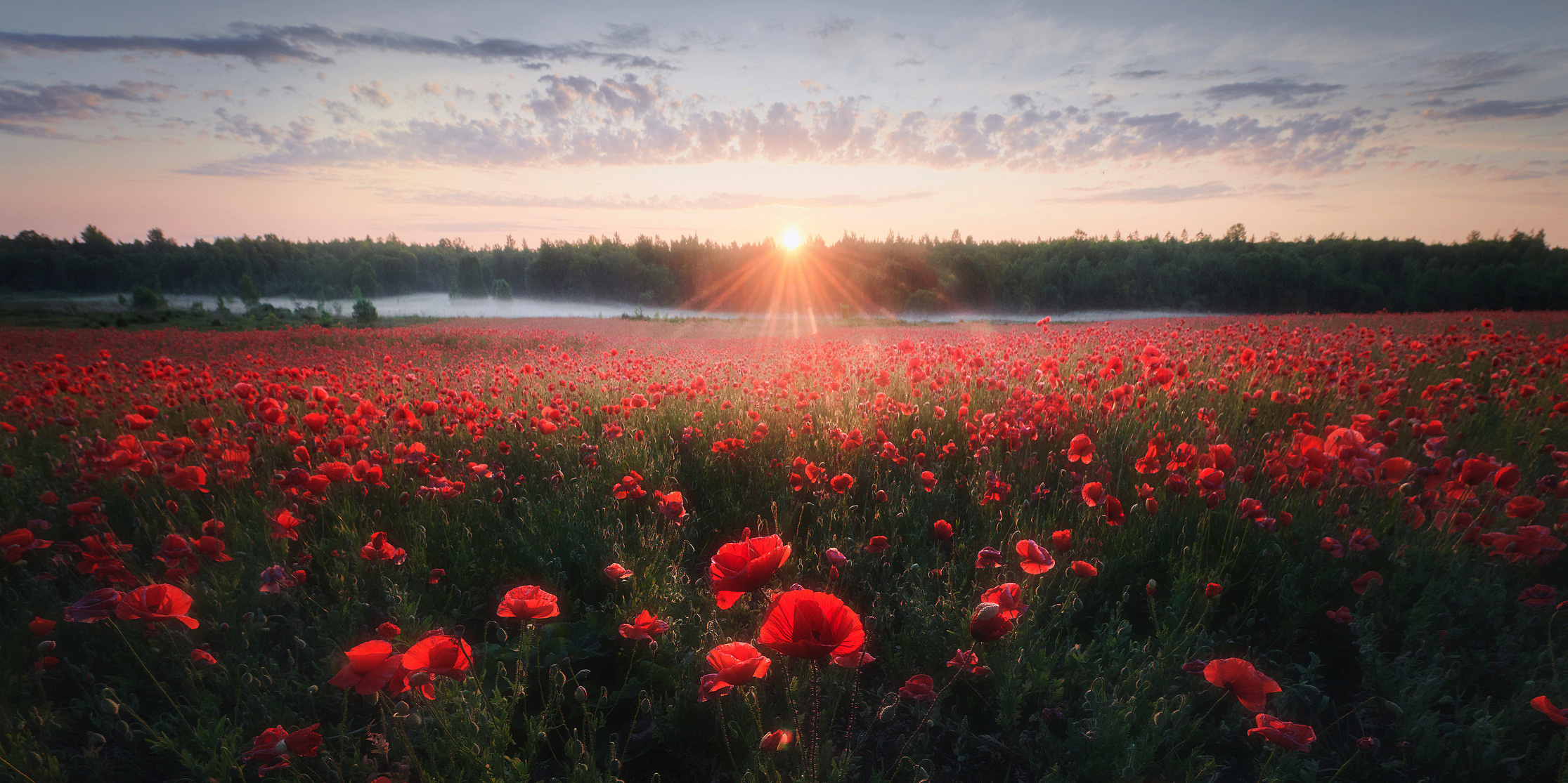Красота природы. Фотограф Кононов Антон