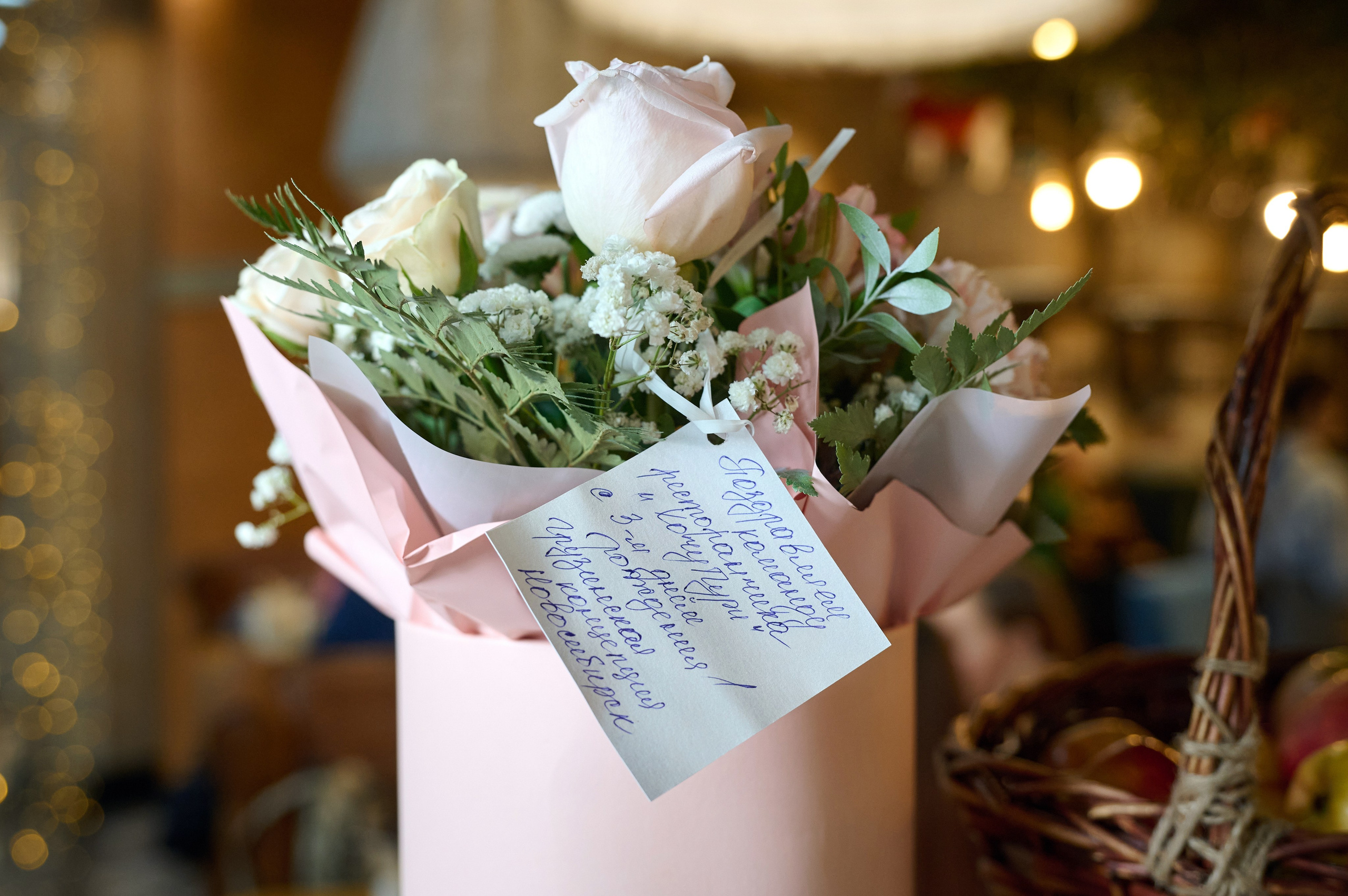 Хочу Пури 3 года. Фотограф Опыт Качество Скорость Горный Алтай Барнаул