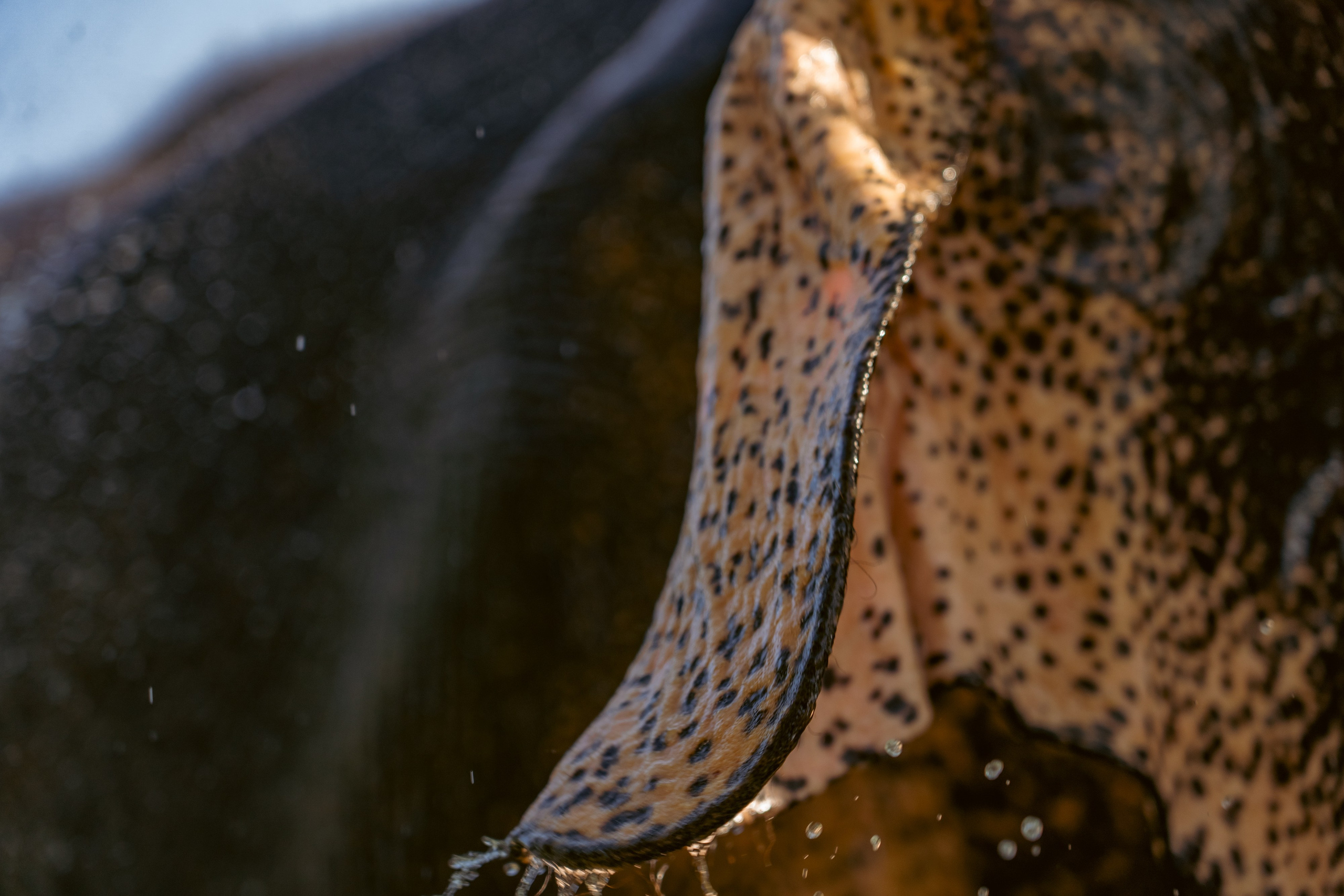 Promo content shooting for Ceylon Forward Tours