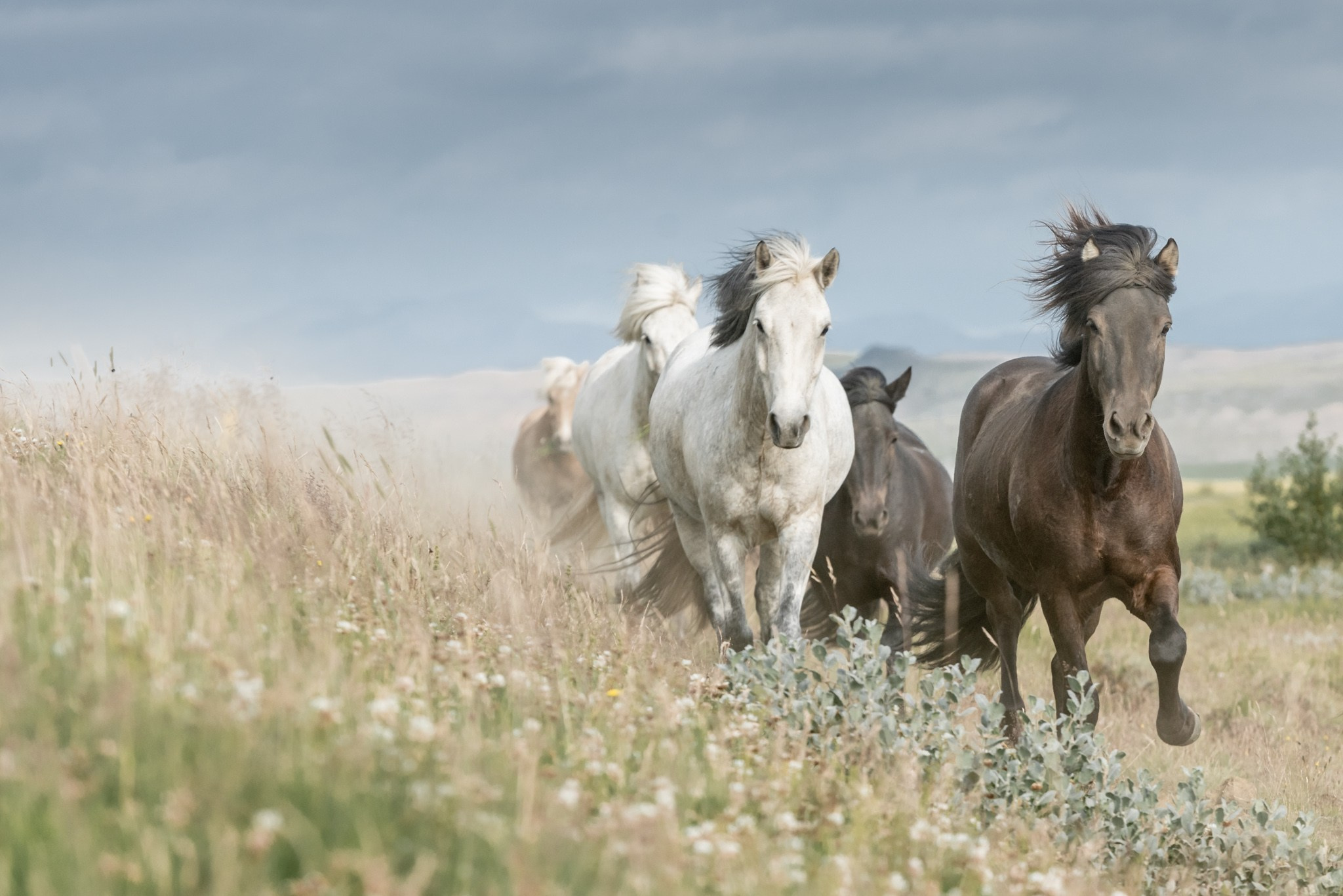 NATURE. Sailing Photographer Marina Semenova