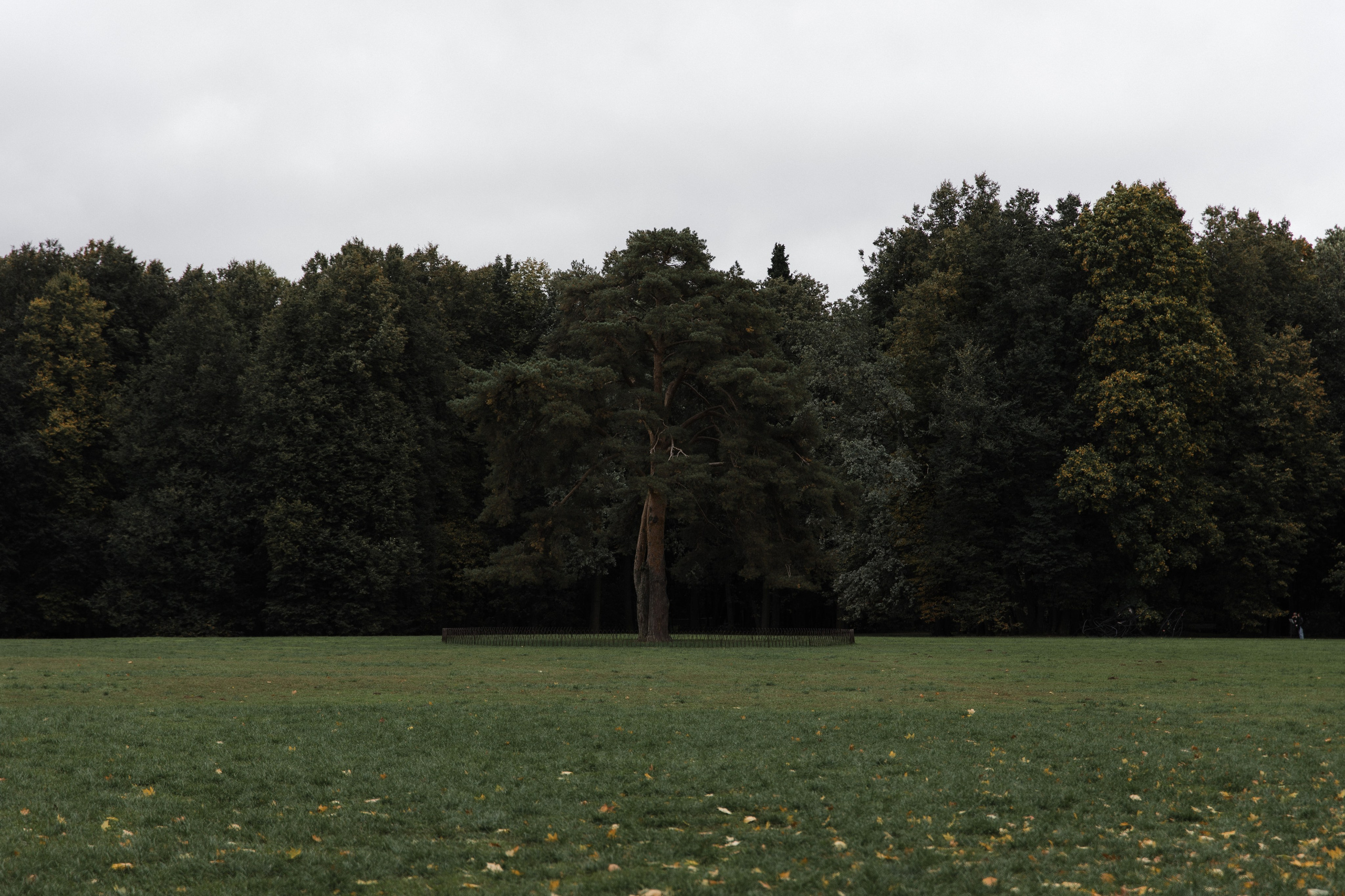Н & А Оперный дом Царицыно. Женский и свадебный фотограф Москва Елизавета Перова
