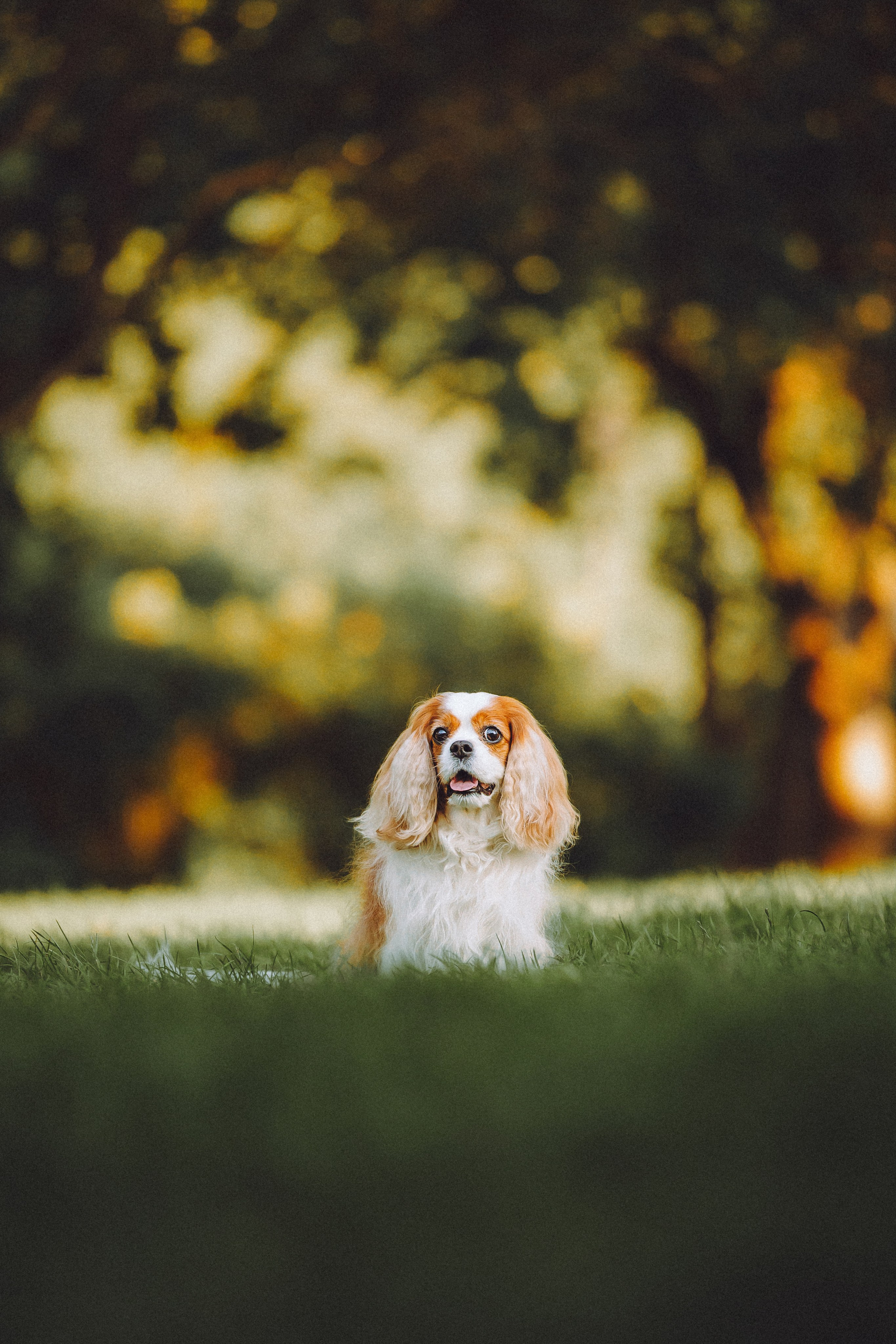 Наташа и Вики