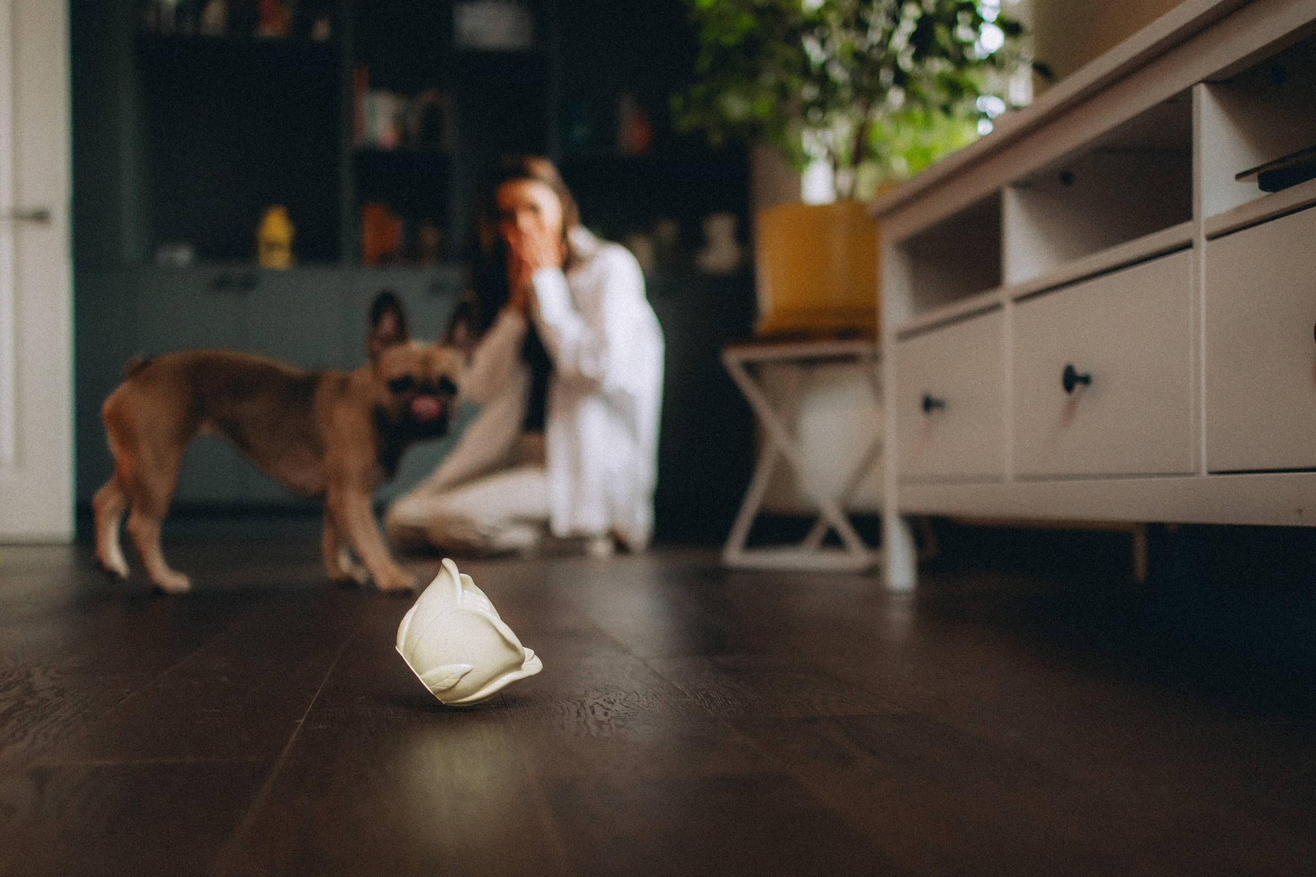 Юля, Мия и Зек