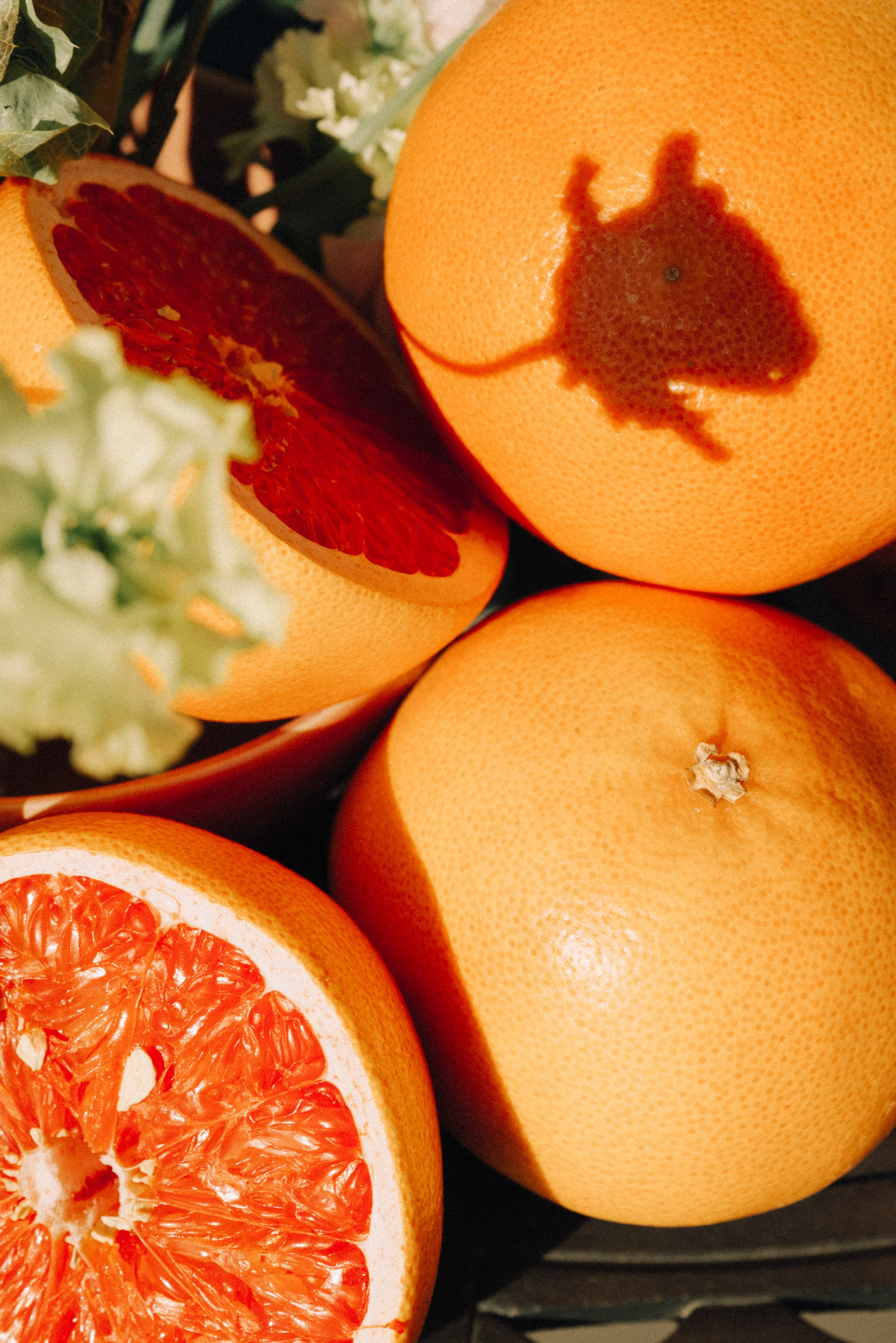 Free gorko. Фотограф в Санкт-Петербурге Евгений Перевалов