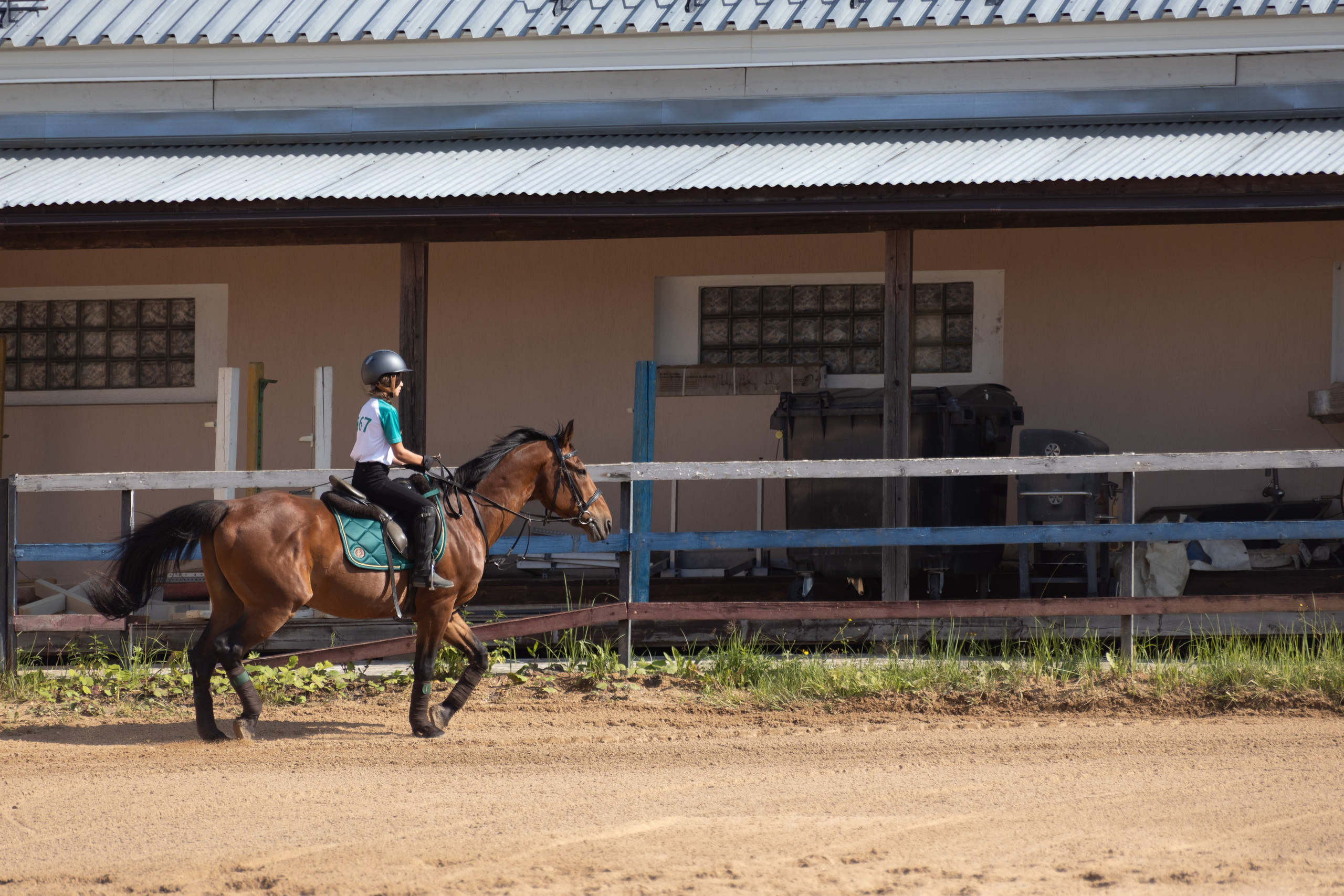 Конюшня. Фотограф в Москве и Истре