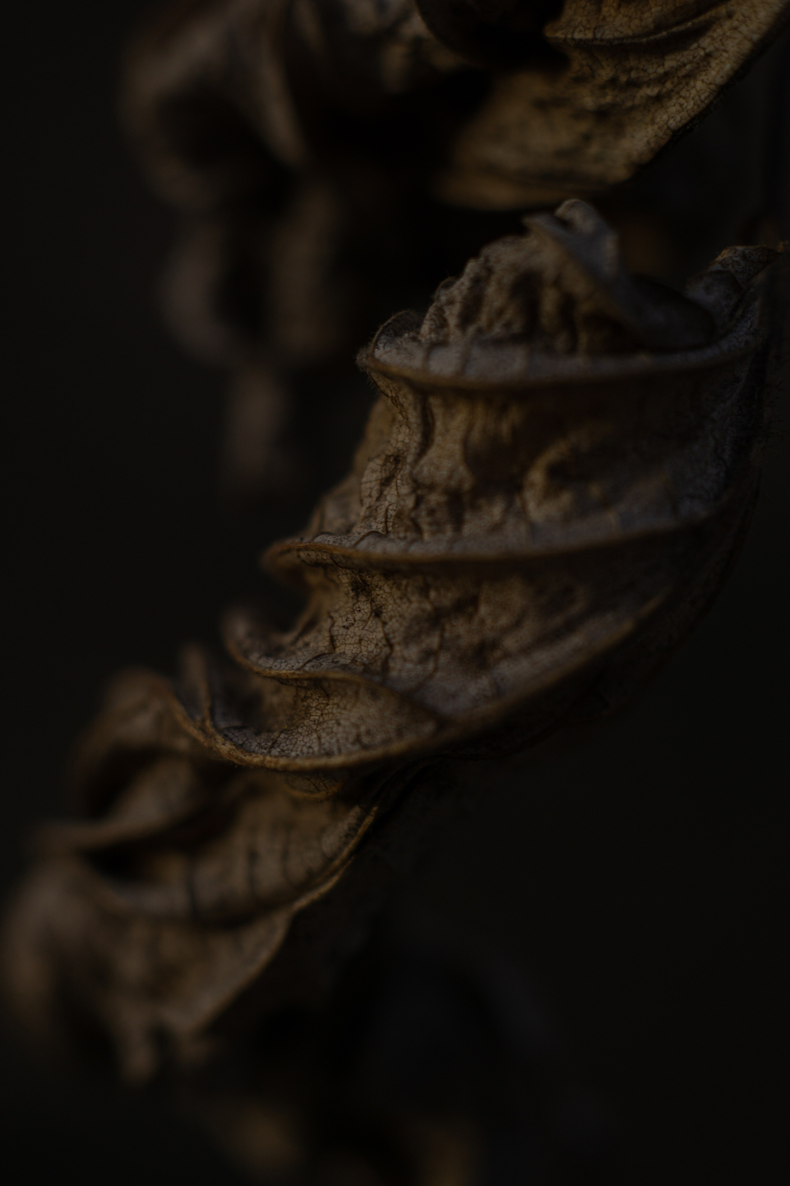 EXHIBITION. Репортажный и интерьерный фотограф, фотохудожник