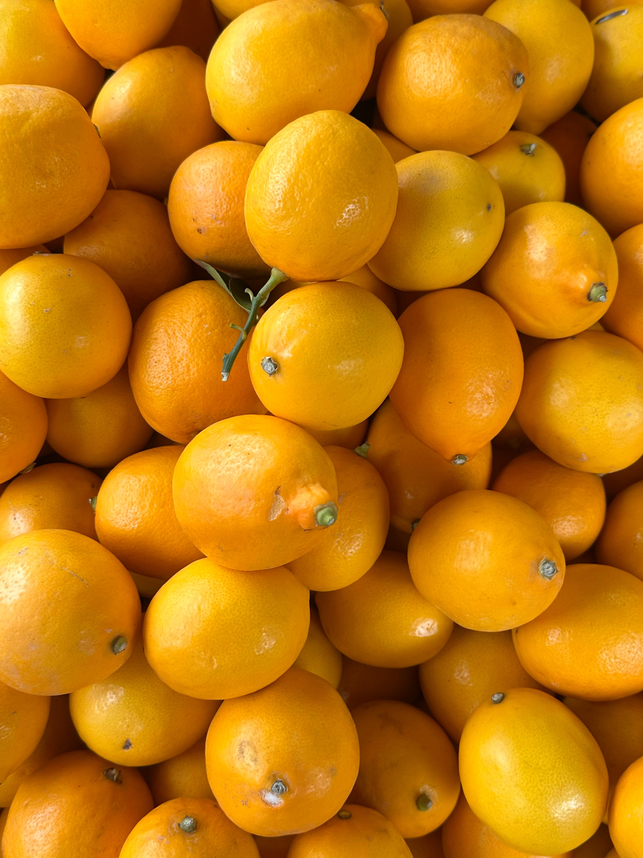 ХУДОЖЕСТВЕННАЯ СЪЁМКА. Репортажный и интерьерный фотограф, фотохудожник