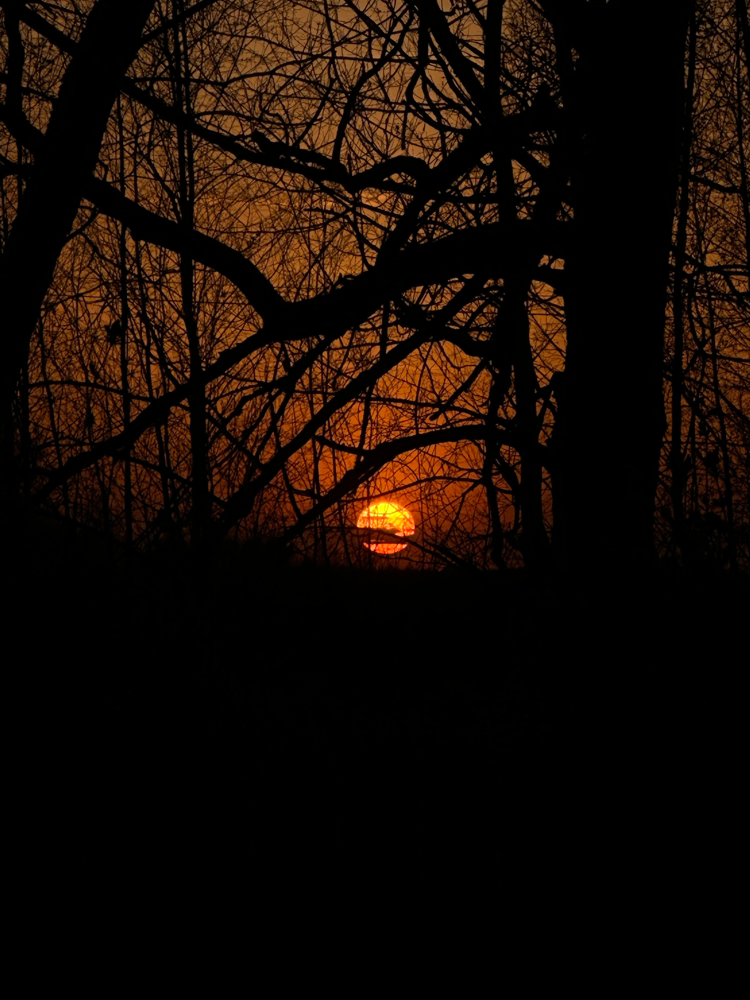EXHIBITION. Репортажный и интерьерный фотограф, фотохудожник