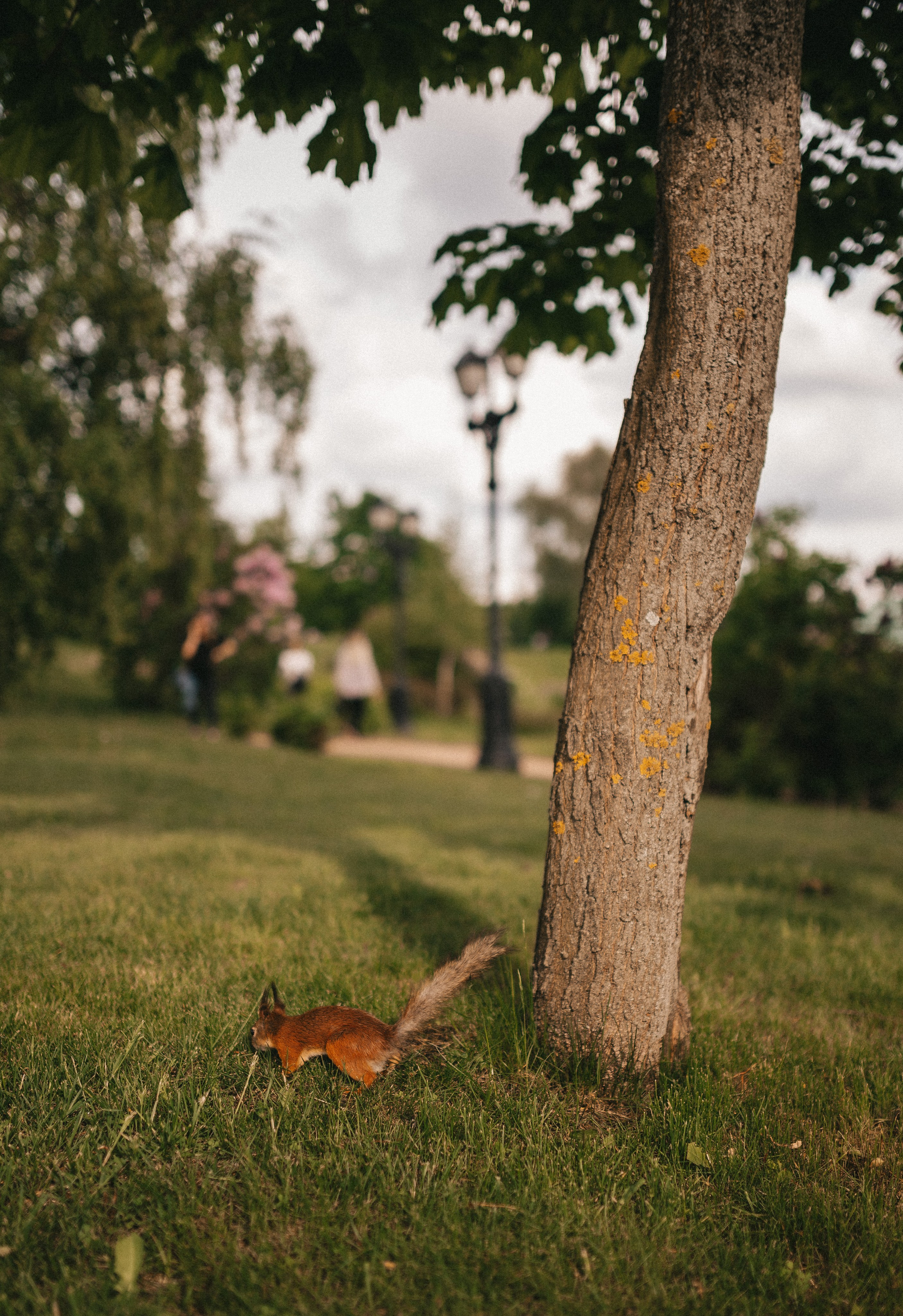 Артём и Кристина. Царицыно. Семейный и свадебный lifestyle-фотограф в Москве Мария Петрова