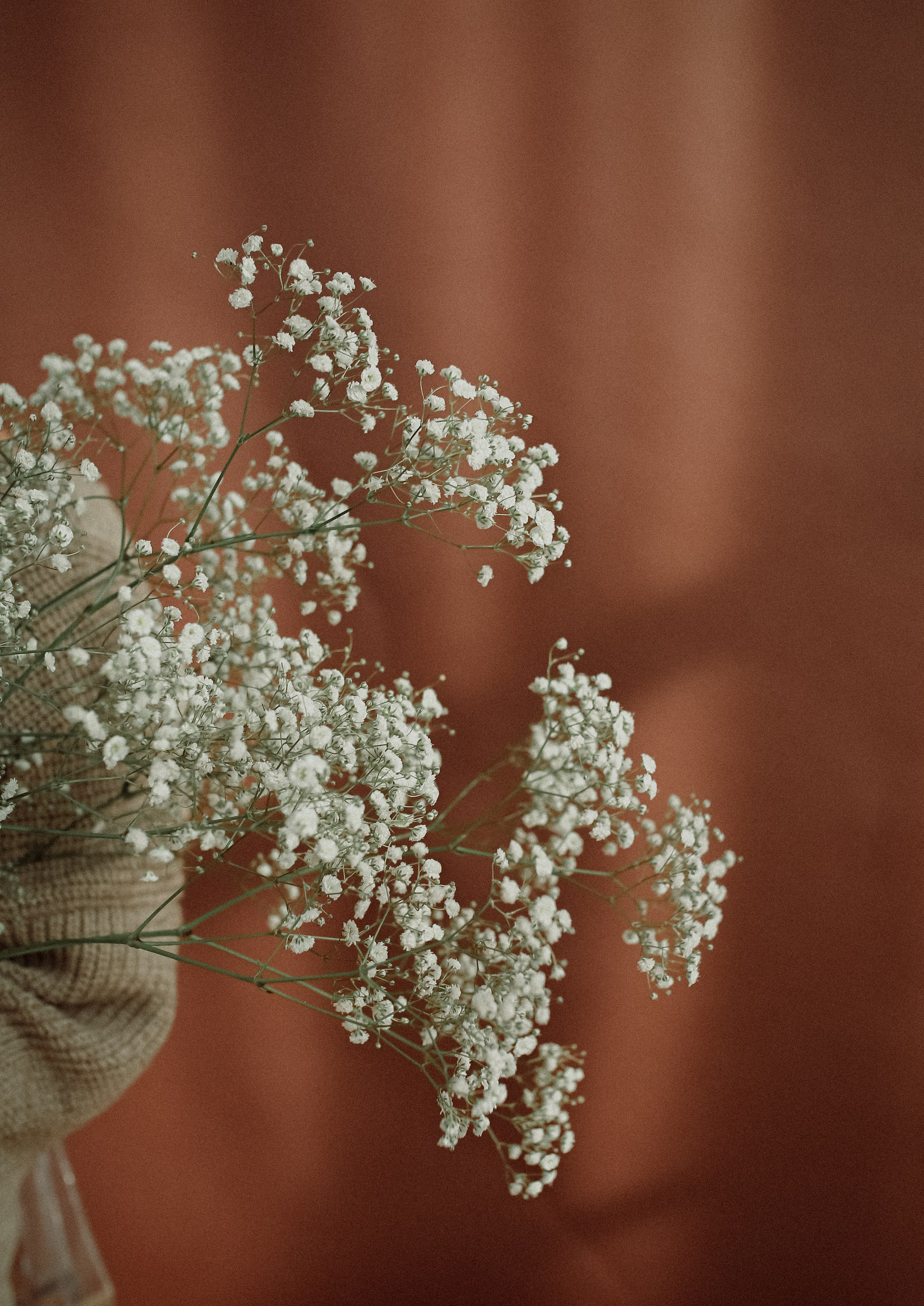 ФОТОСЕССИЯ ДЛЯ ДАРЬИ. Бренд, контент фотограф в Волгограде Елена Даньшина