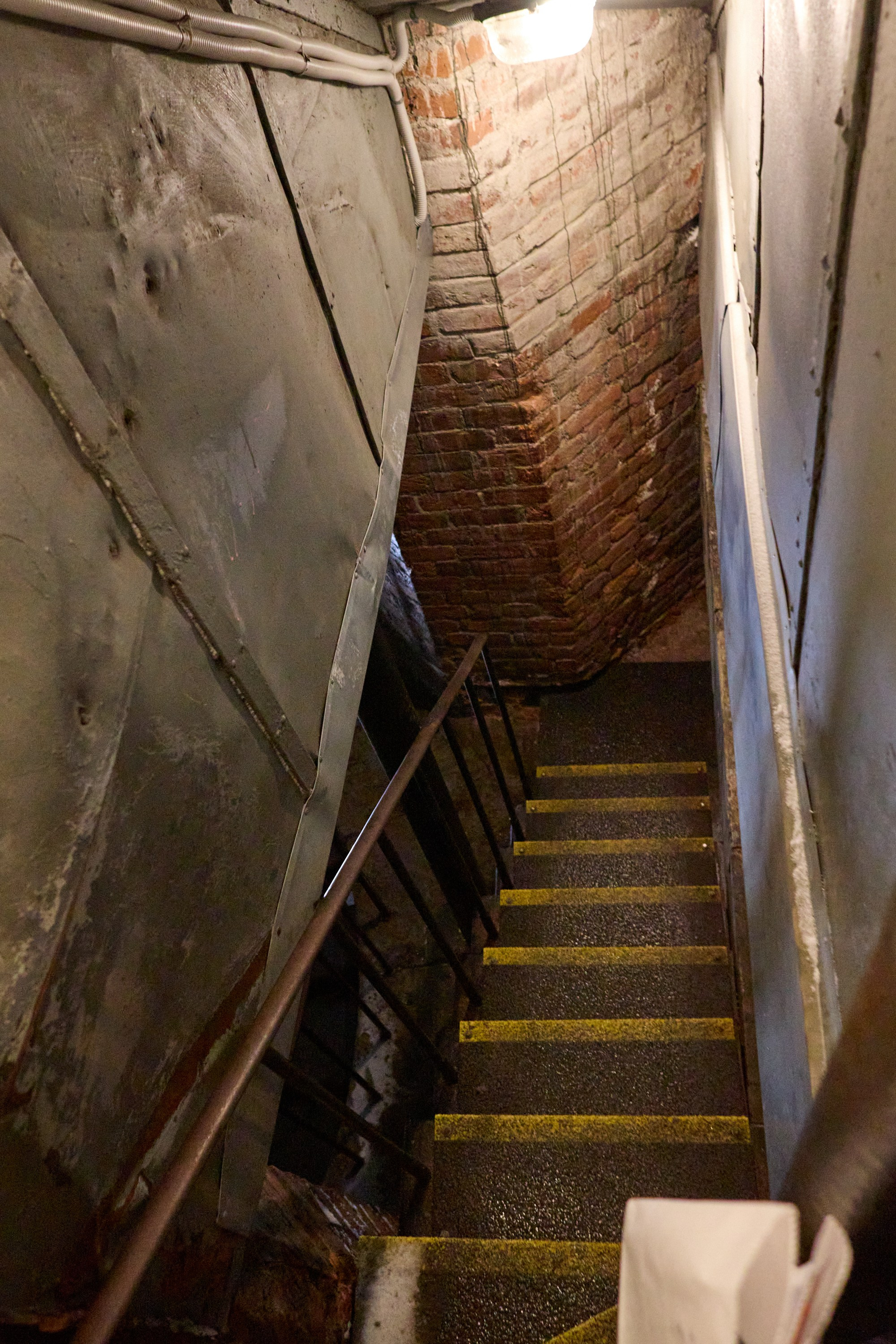 Рождество въ Санктъ-Петербургѣ. Фотографъ Сергѣевъ. Поймать мгновеніе