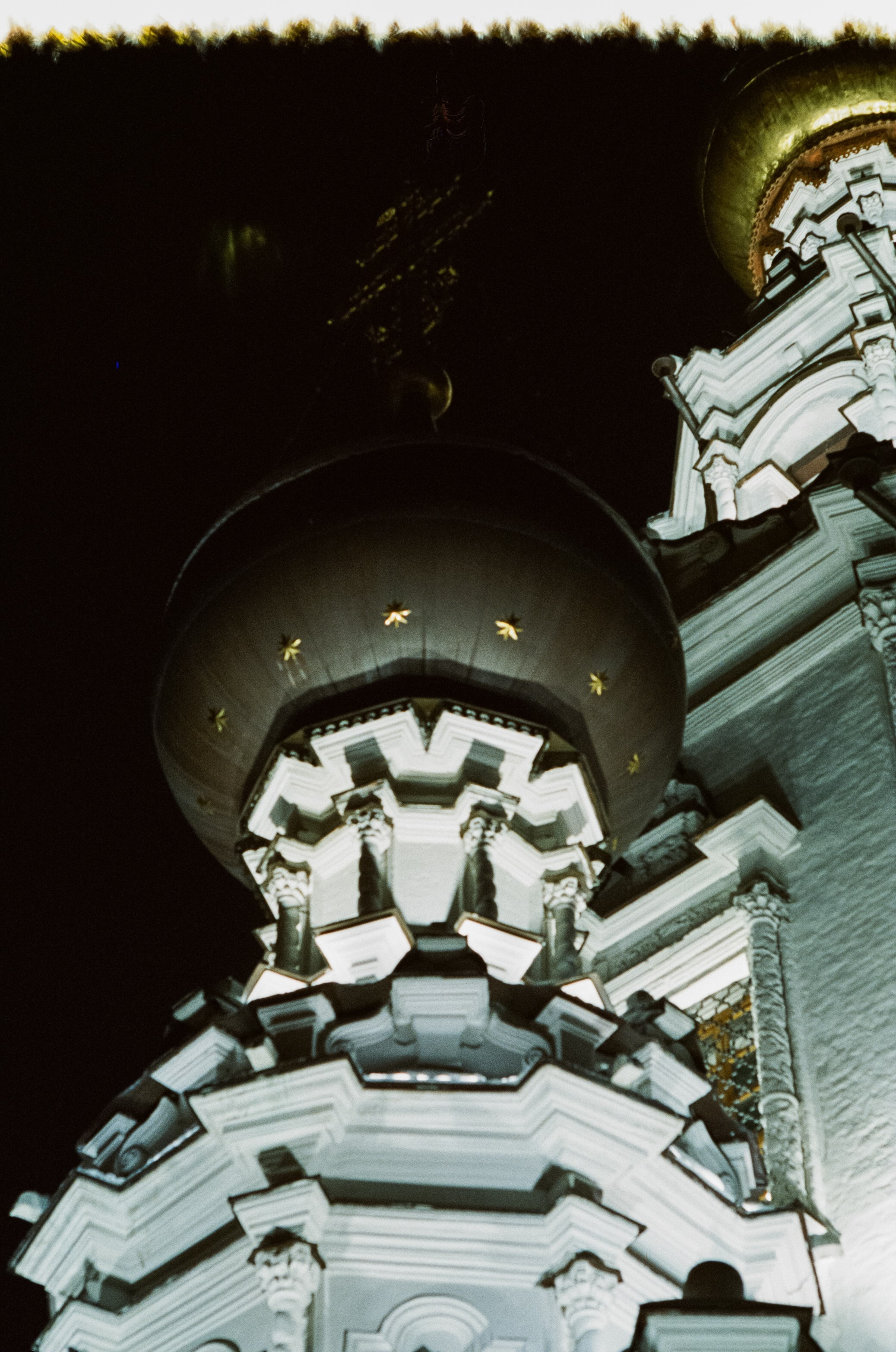 SFL 500T (Kodak Vision 3 500T) / Canon T80 / Canon FD 85 mm f1.2 L