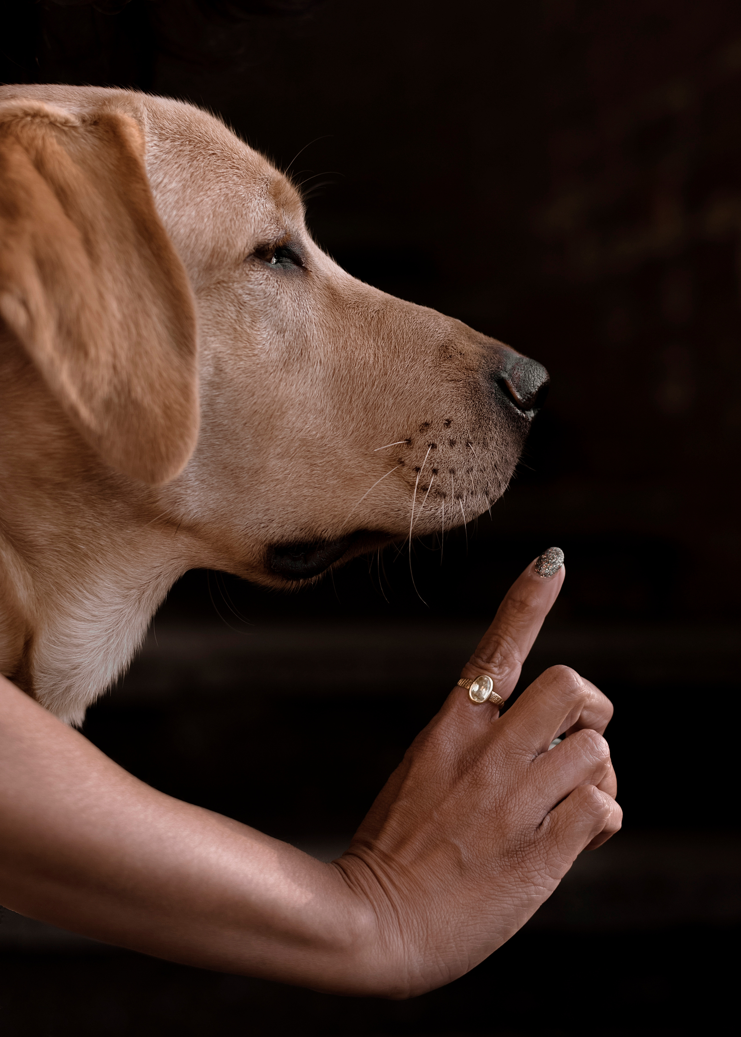 FAMILY PHOTO SHOOT. Wedding photographer Oklahoma US