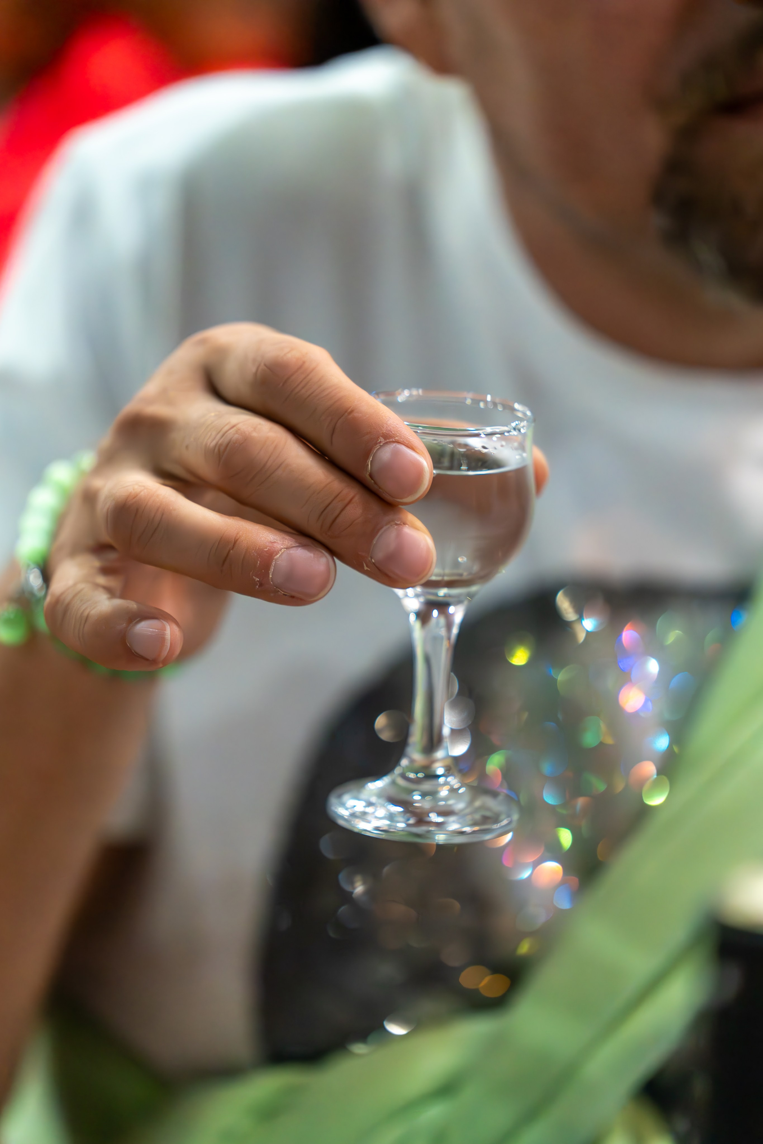 MICE мероприятие — тур по Абхазии. Репортажный фотограф в Красной Поляне и Сочи Павлюченко Екатерина