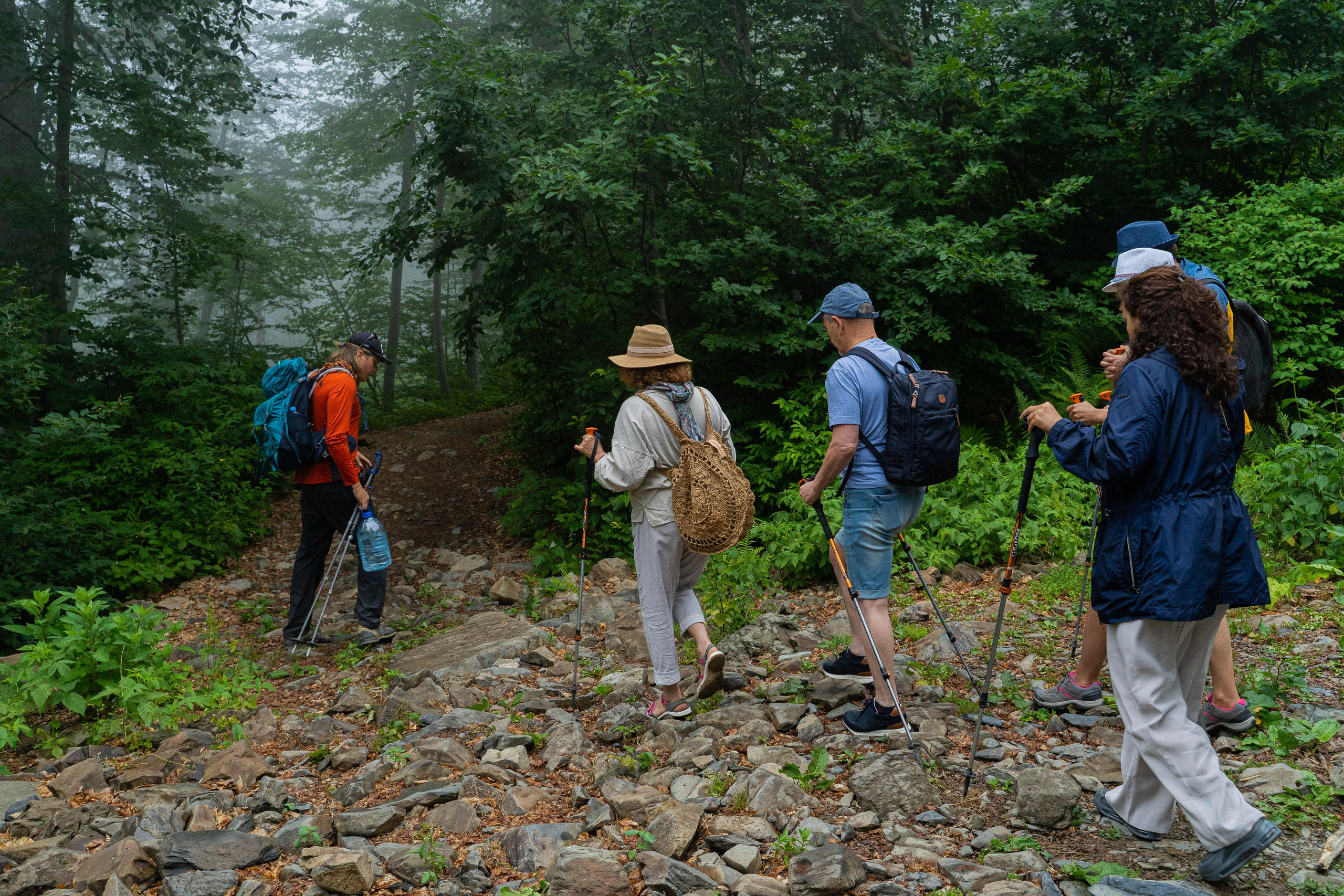 Психологический тренинг на озере Зеркальное. Репортажный фотограф в Красной Поляне и Сочи Павлюченко Екатерина