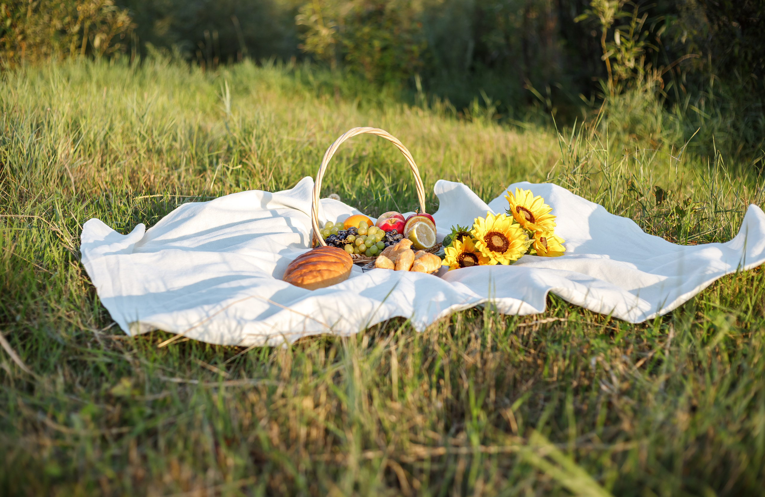 Чиж. Воронистая Анастасия. Фотограф Якутия, Томпонский район