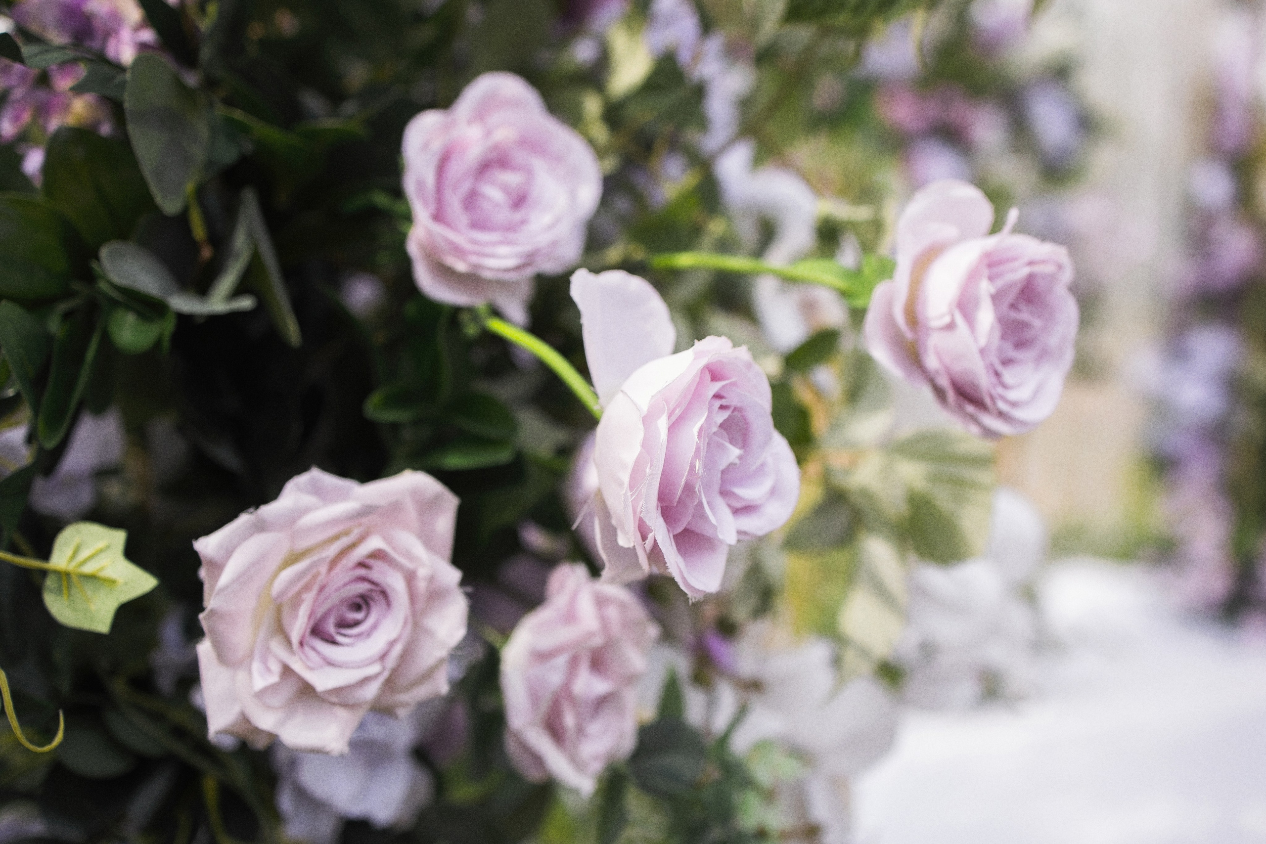 Денис и Юлия. Свадебный и семейный фотограф в Иркутске Александр Цыганков