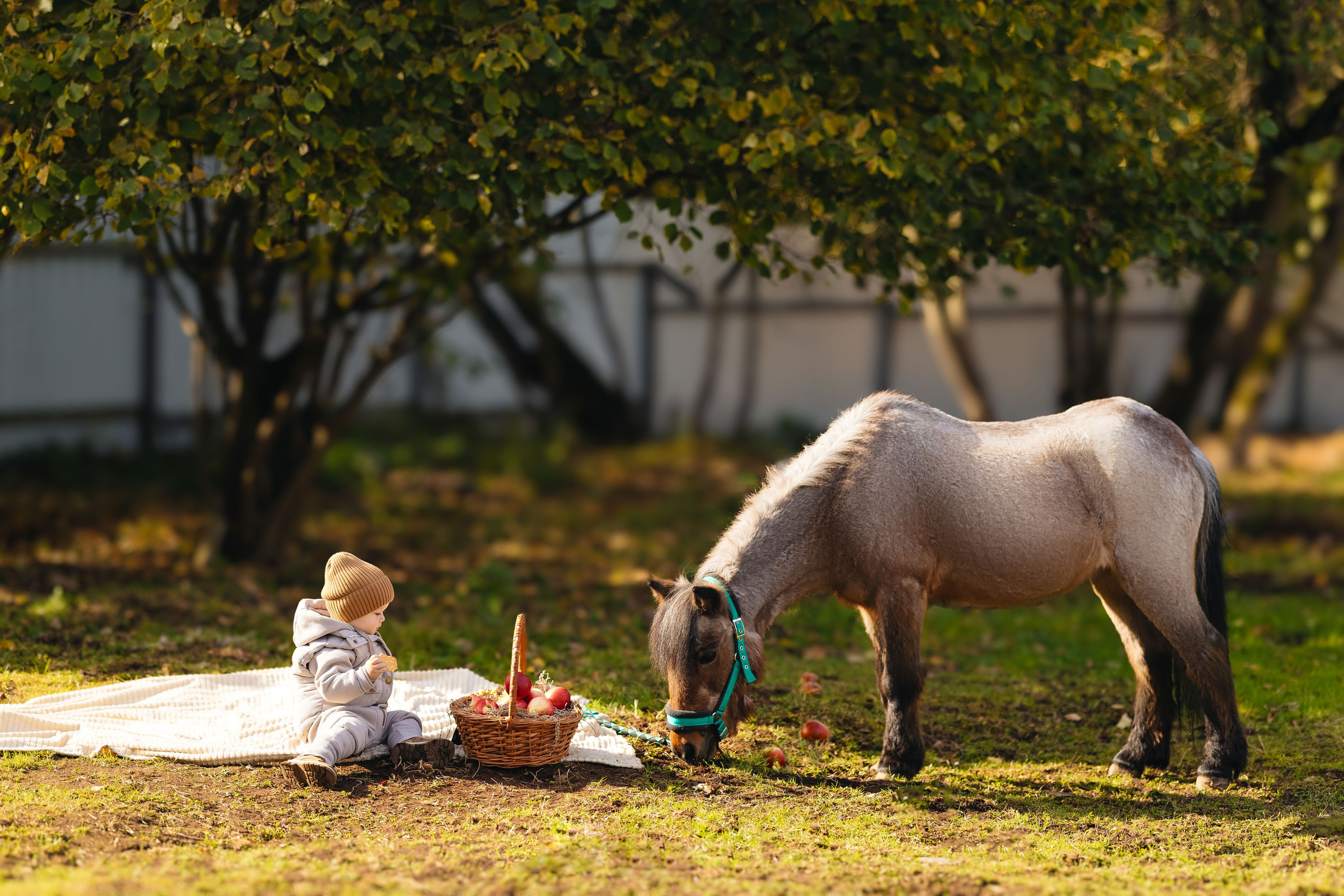 2024.10.02 Илья и лошадка. Ирина Бешляга. Фотограф в Москве и по всей России