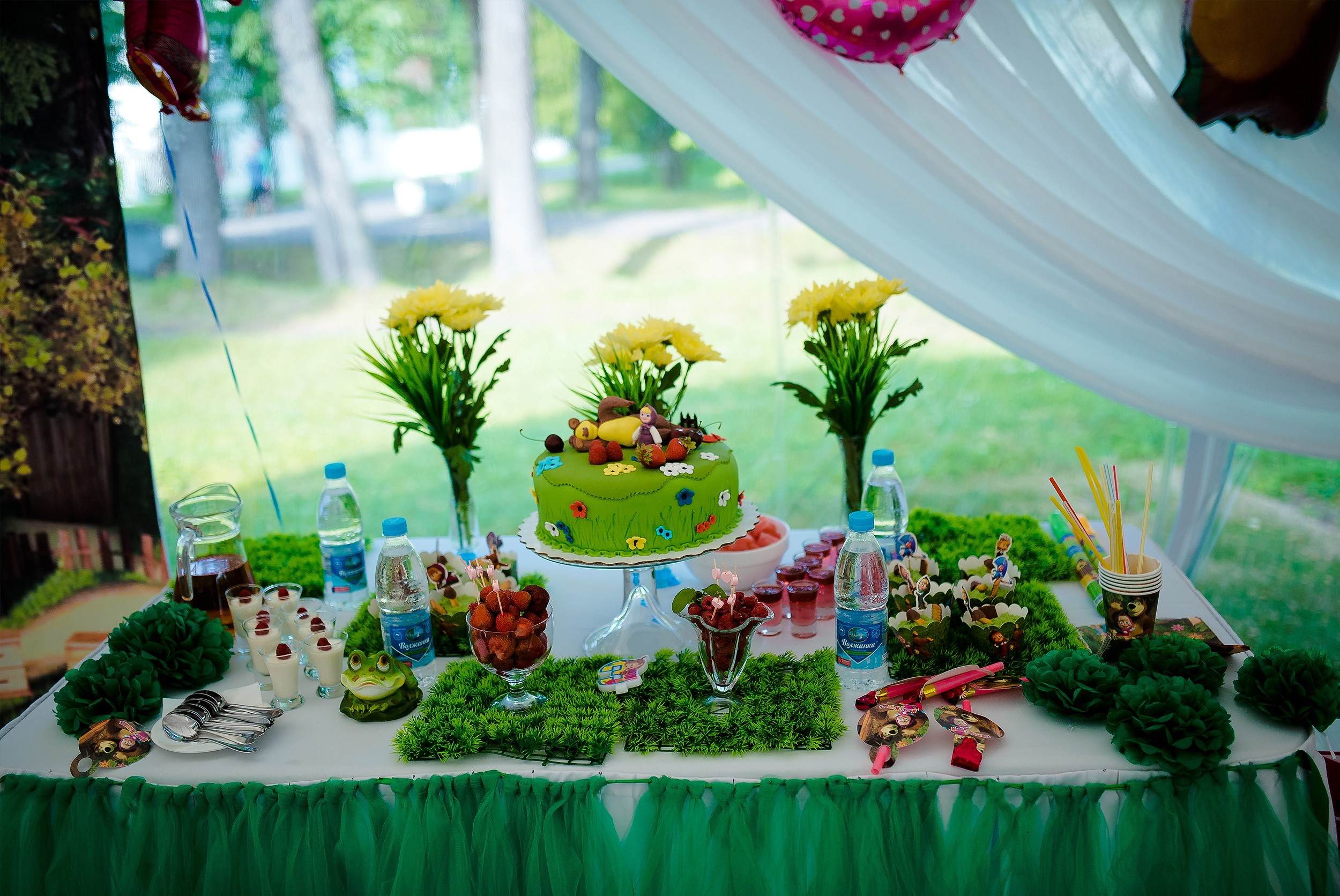 Мила День Рождения. Выпускные альбомы в Зеленограде и Москве