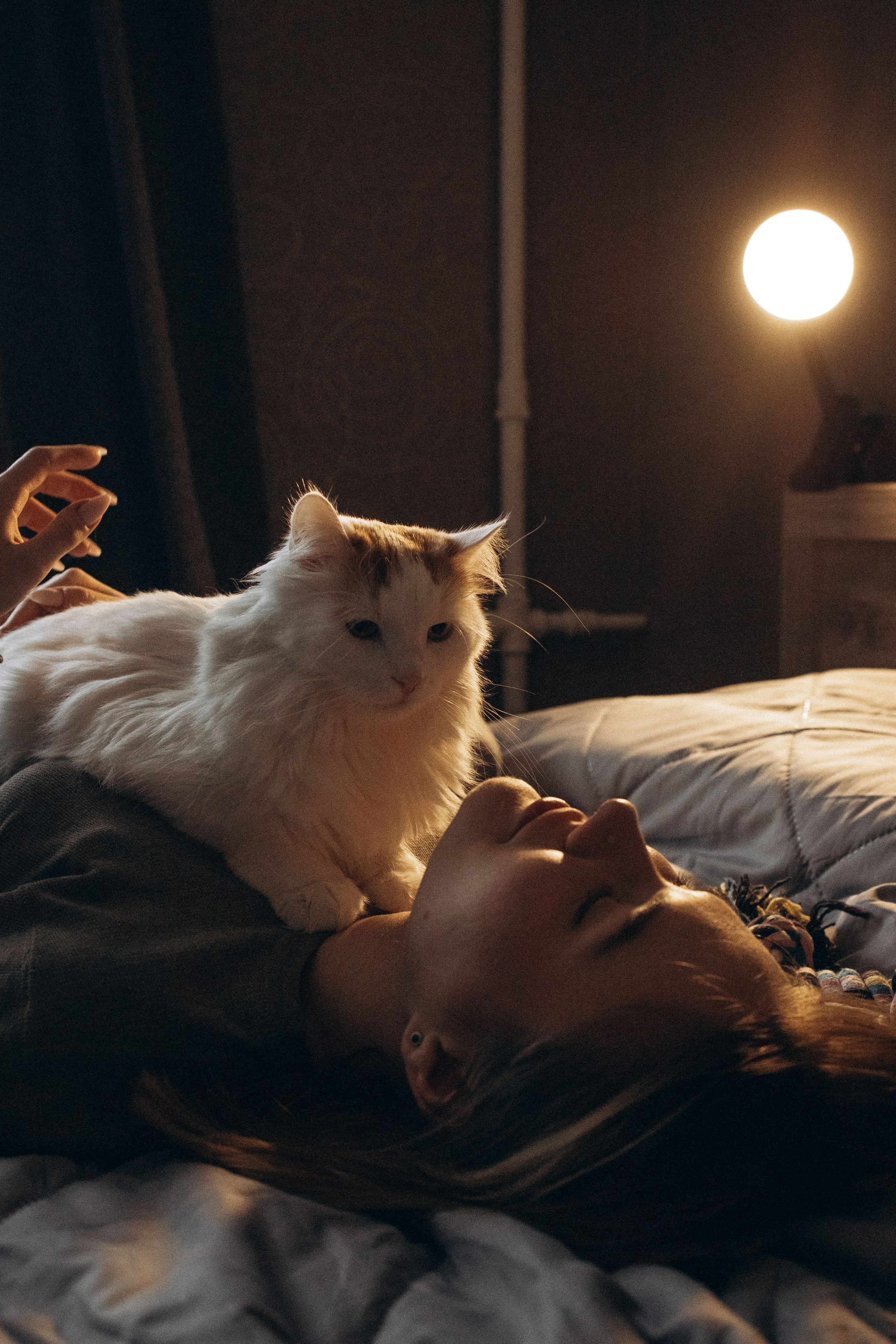 Маша и ее семья. Фотораф — анималист Мария Шистка