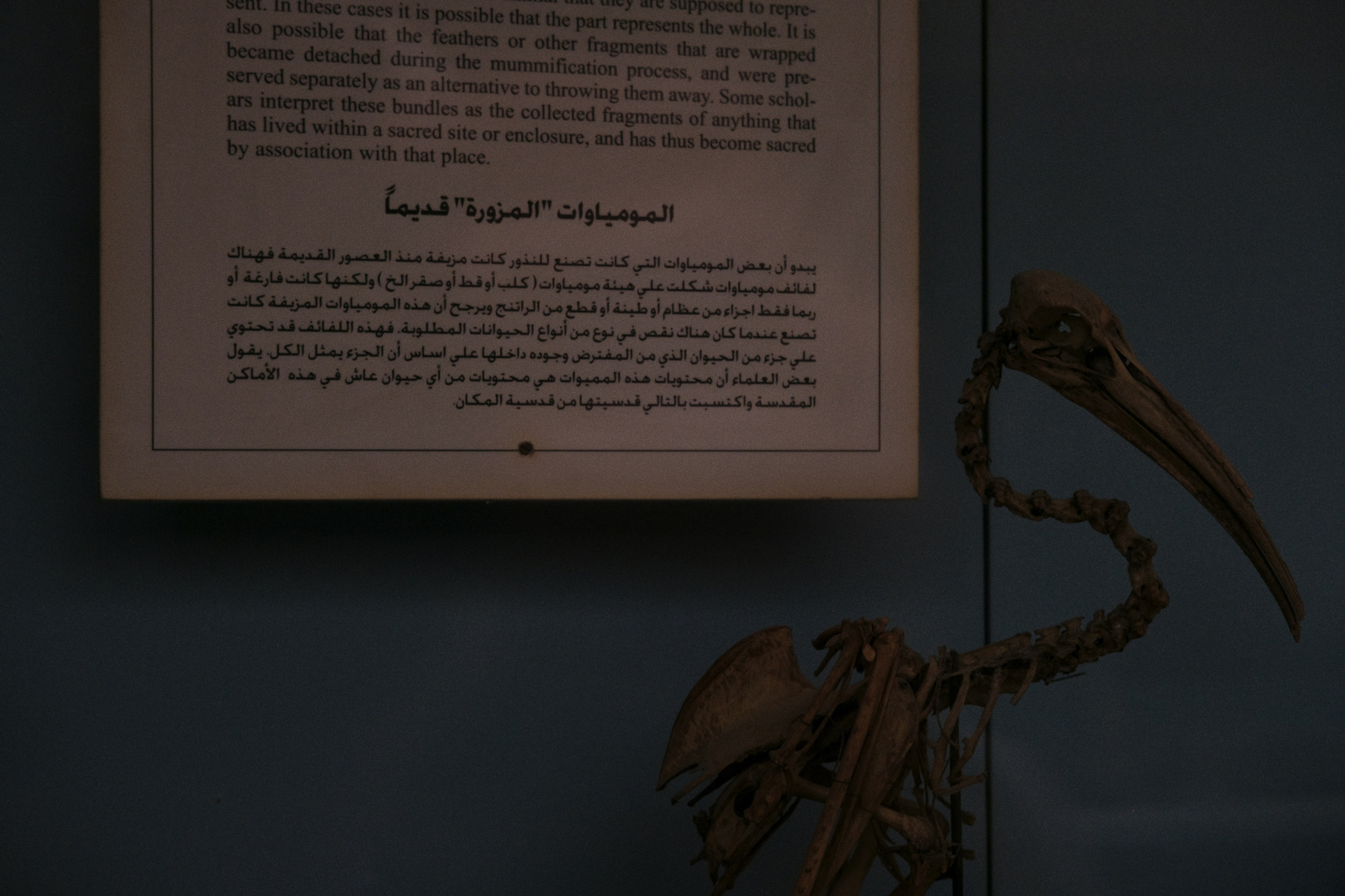 Archaeological Museum / Cairo, Egypt AW25. Фотограф Юрин Евгений