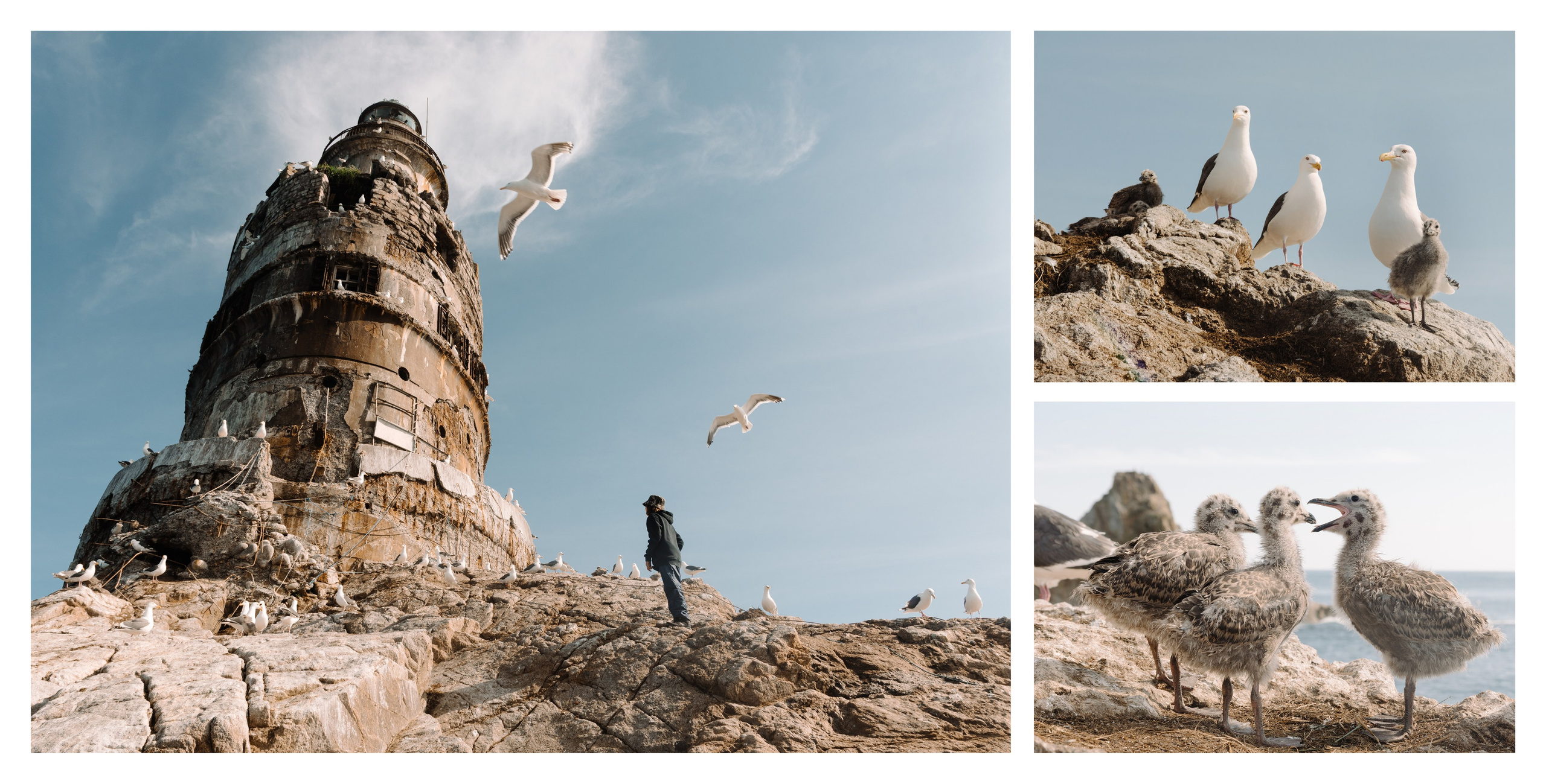 Сахалин и Курильские острова. Фотограф Алиса Калинина