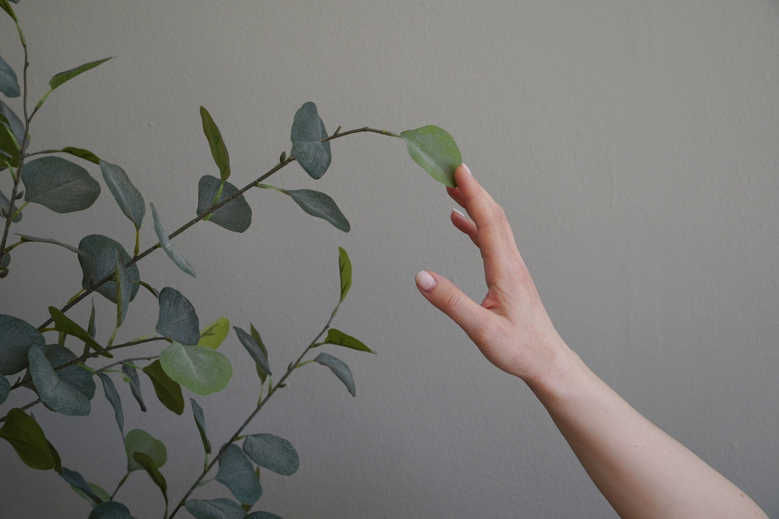 Дарья. Фотохудожник Татьяна Бойцова