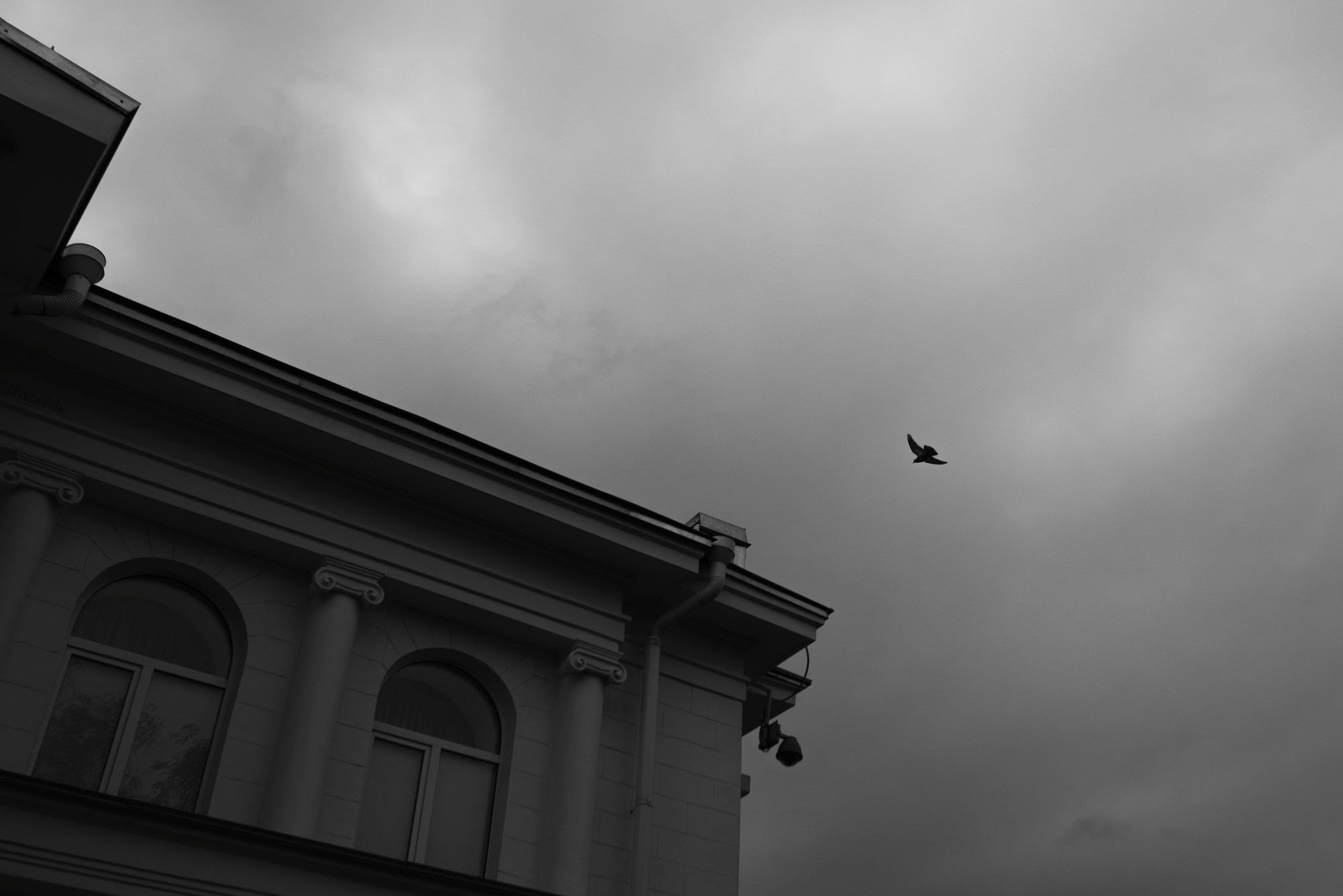 ЕВГЕНИЙ И ЕКАТЕРИНА. Свадебный фотограф в Ставрополе Сергей Шляхов