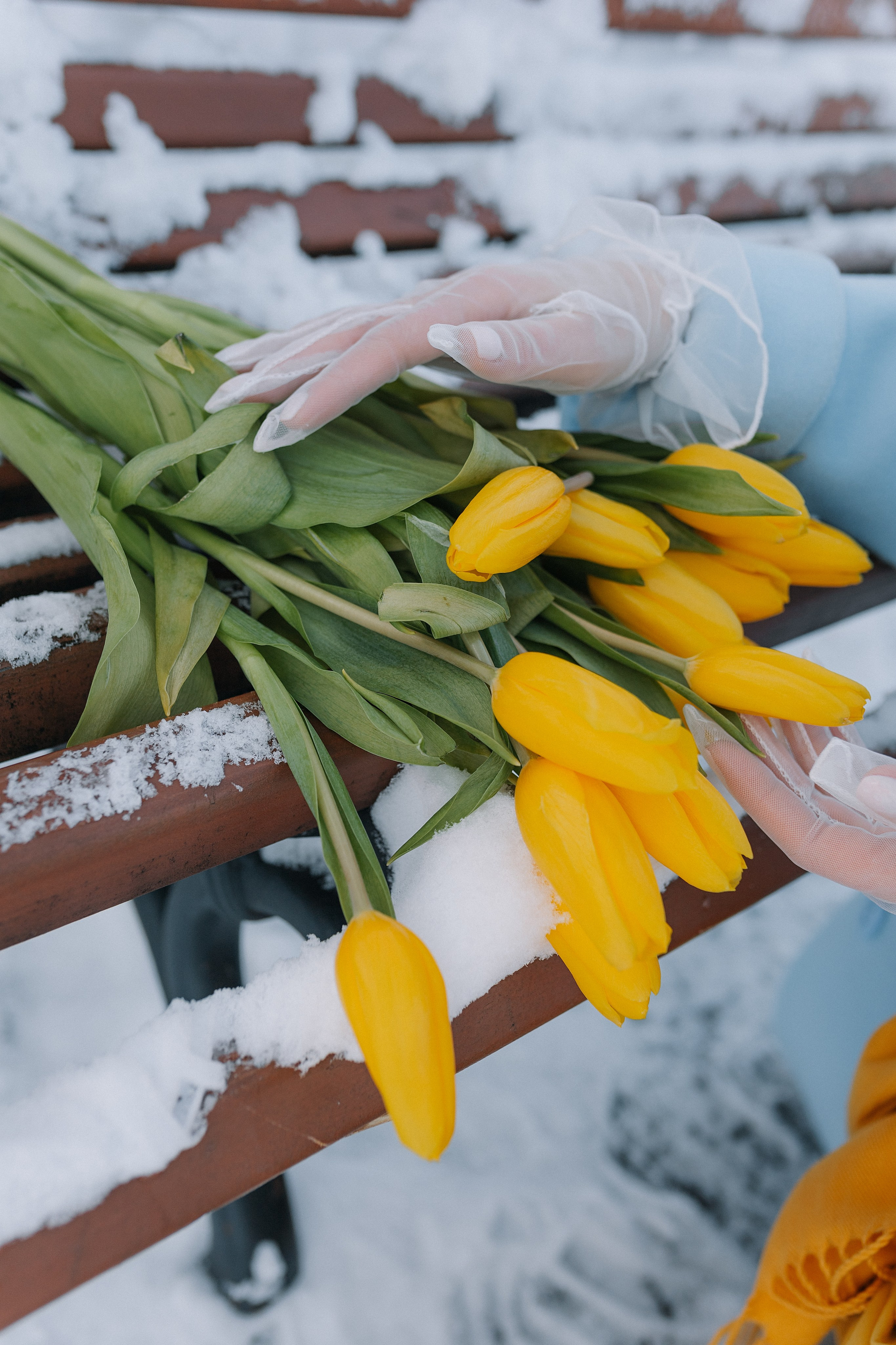Весна Мария. Фотограф Пенза/Сердобск