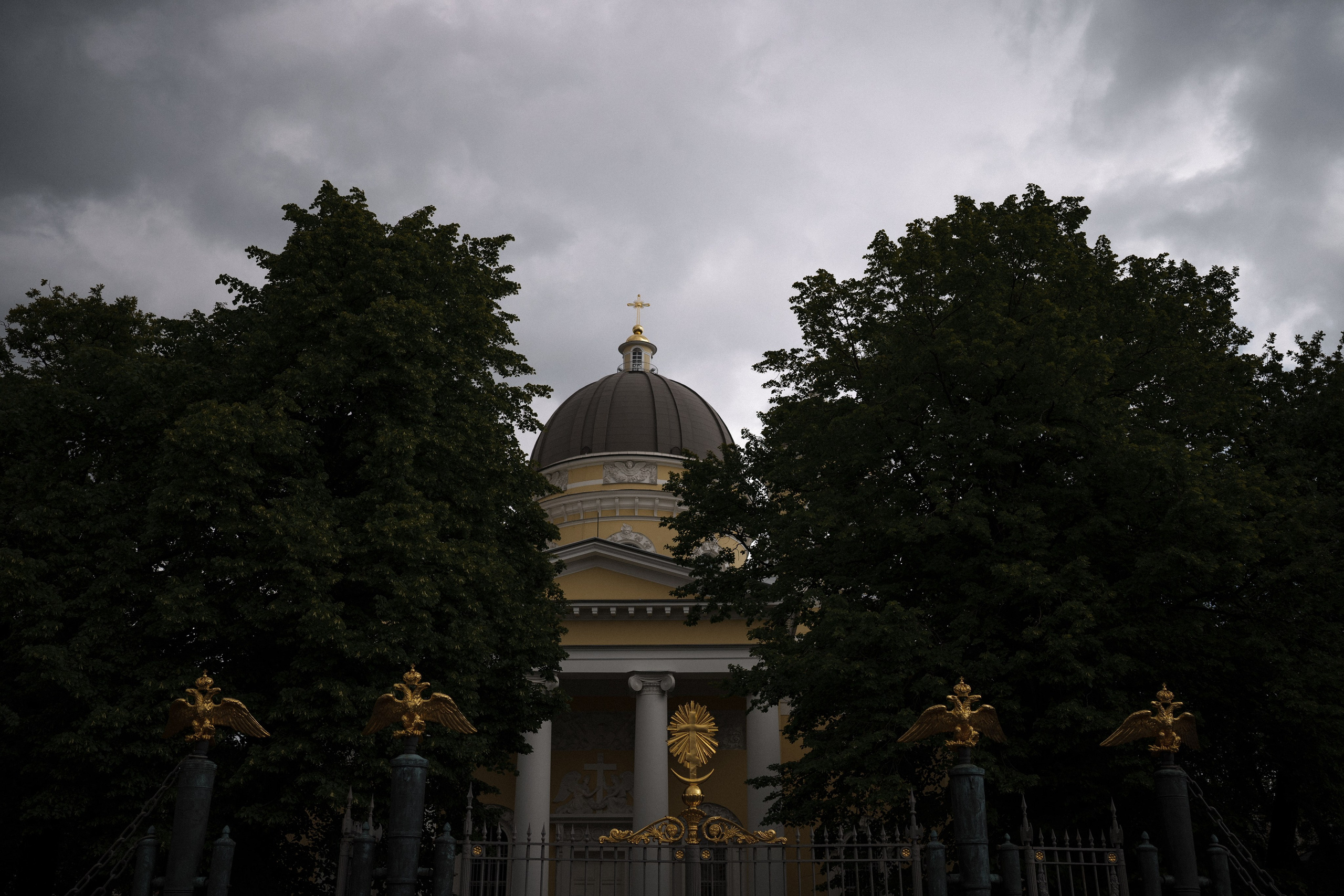 Июнь в Зените. Фотограф в Санкт-Петербурге Александр Дымов