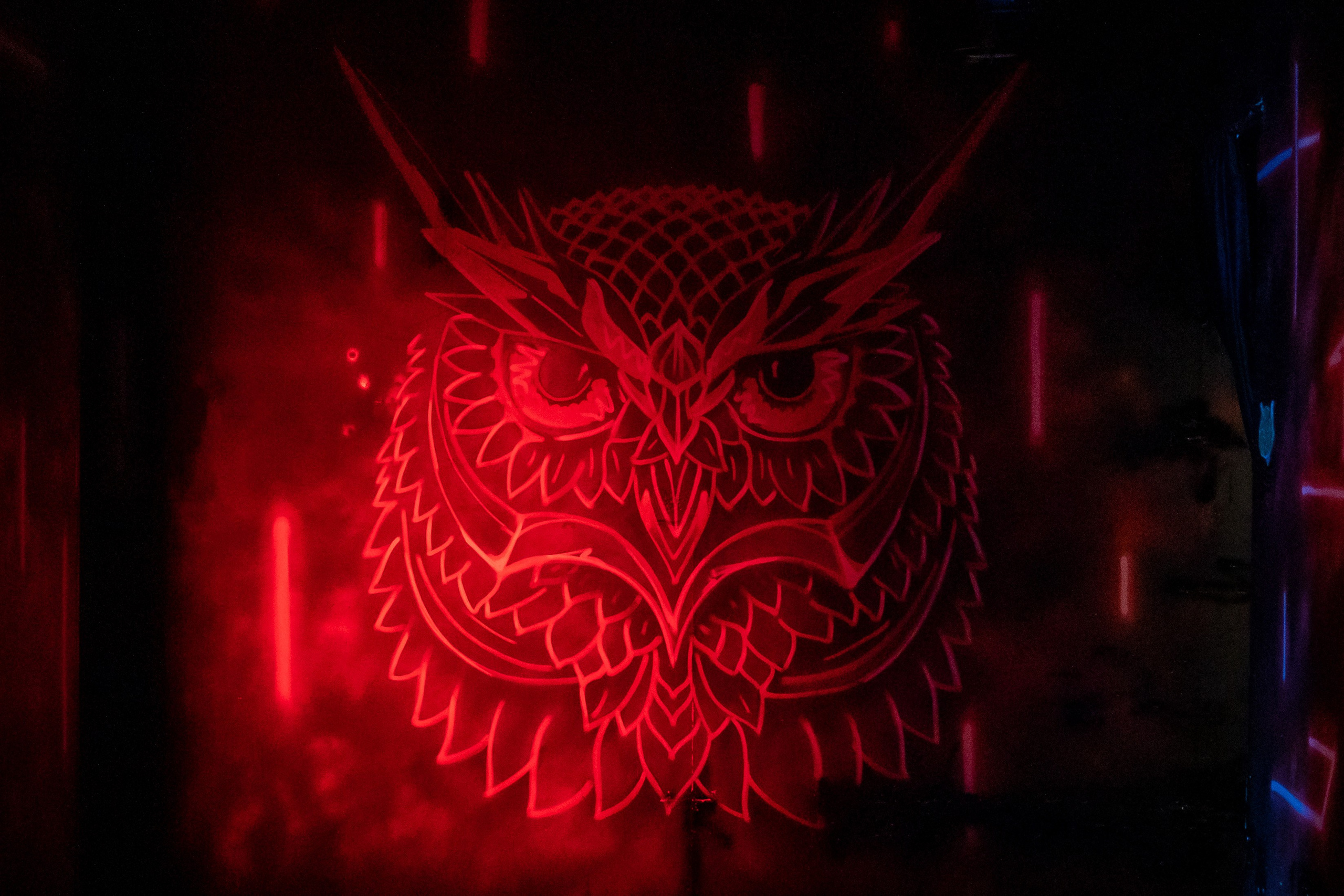 Концерт «Не Школа Барабанов» в Клубе «SOVA». Фотограф Владимир Охрименко