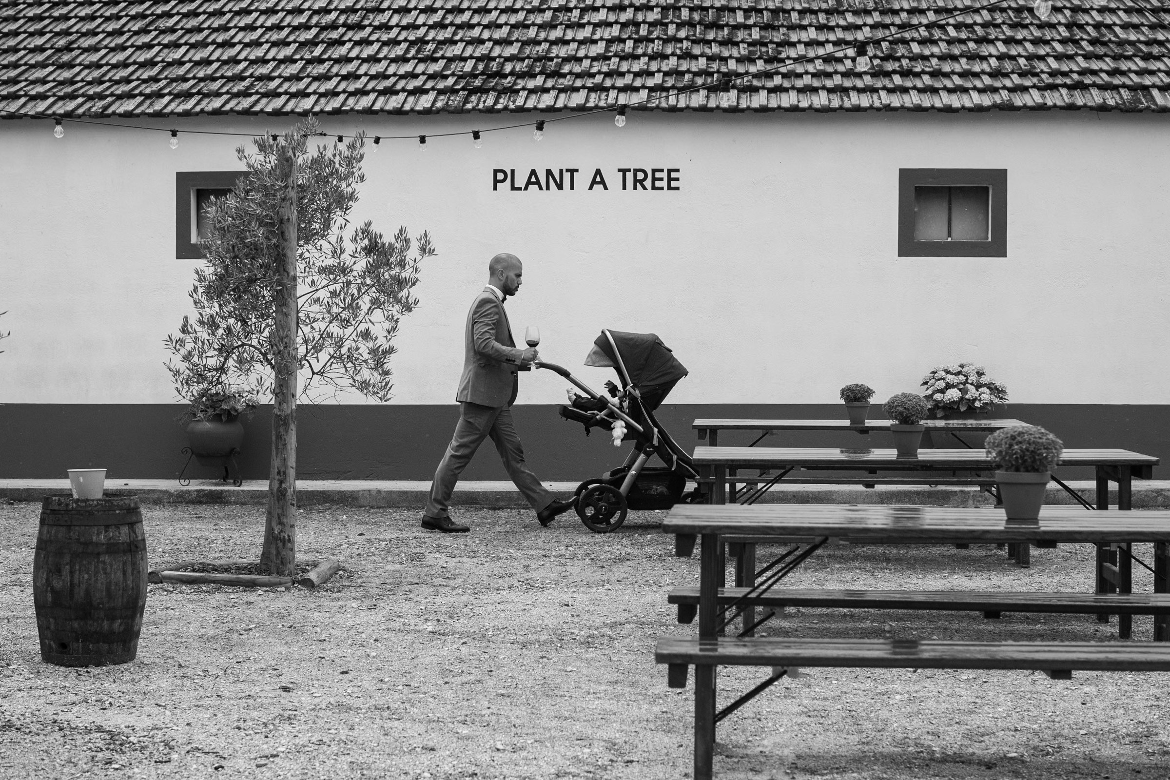 PLANT A TREE. Wedding photographer in Europe