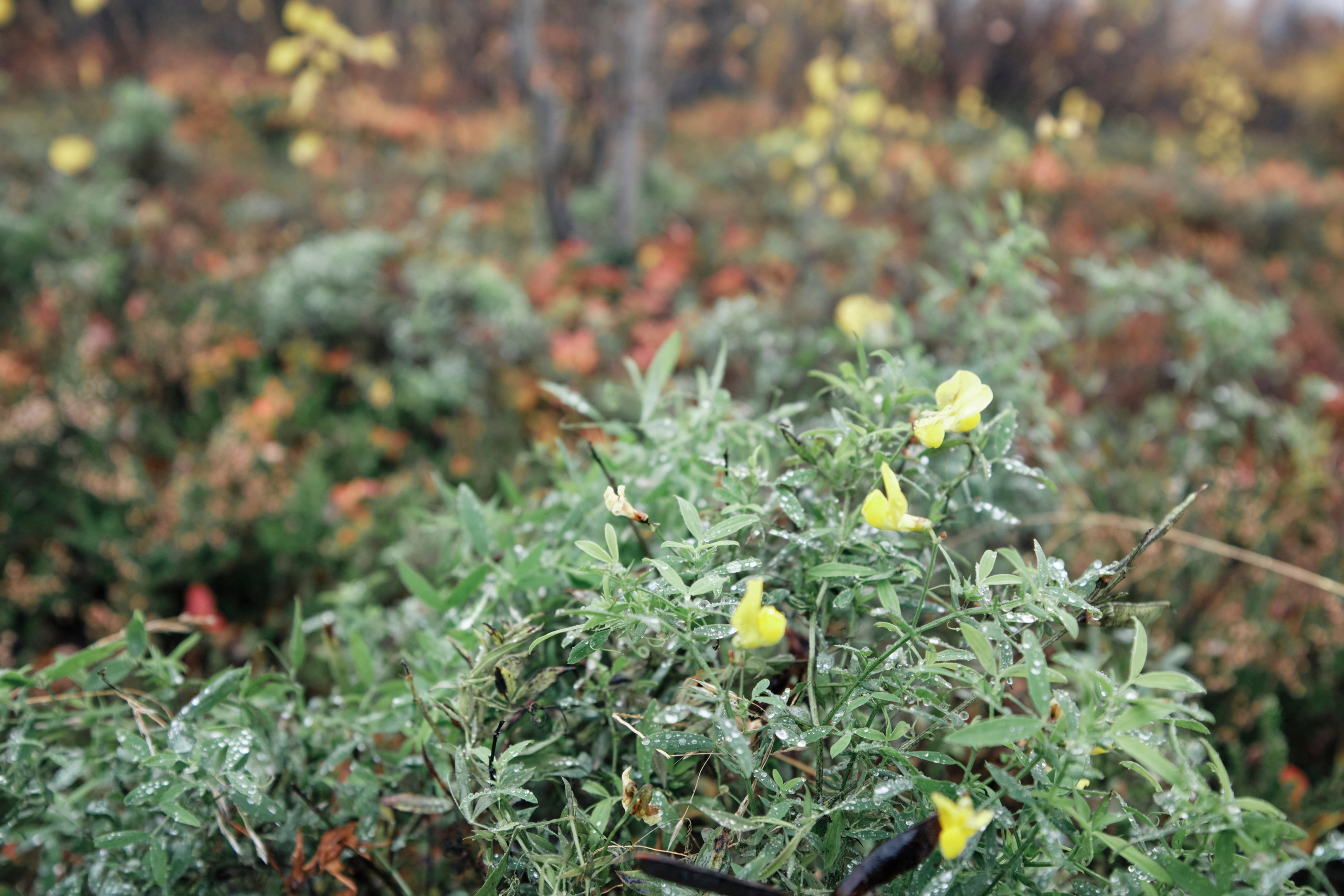 Поездка в Мурманск. Заметки и фото. Елена Павленко. Фотограф. Москва