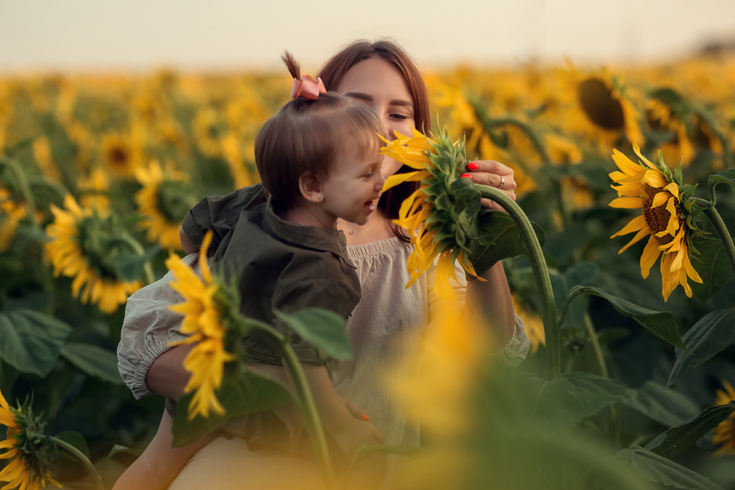 Подсолнухи. Семейный и детский фотограф Екатерина Савёлова