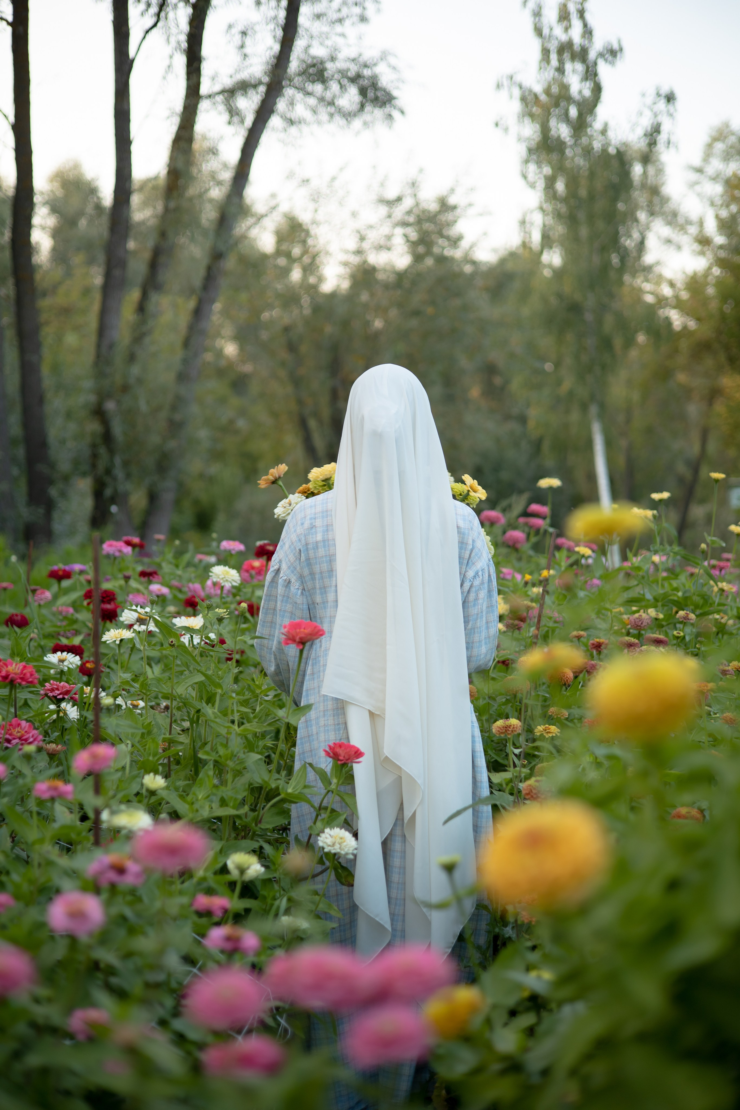ДИНИЯ. Фотограф Элла Ефимова