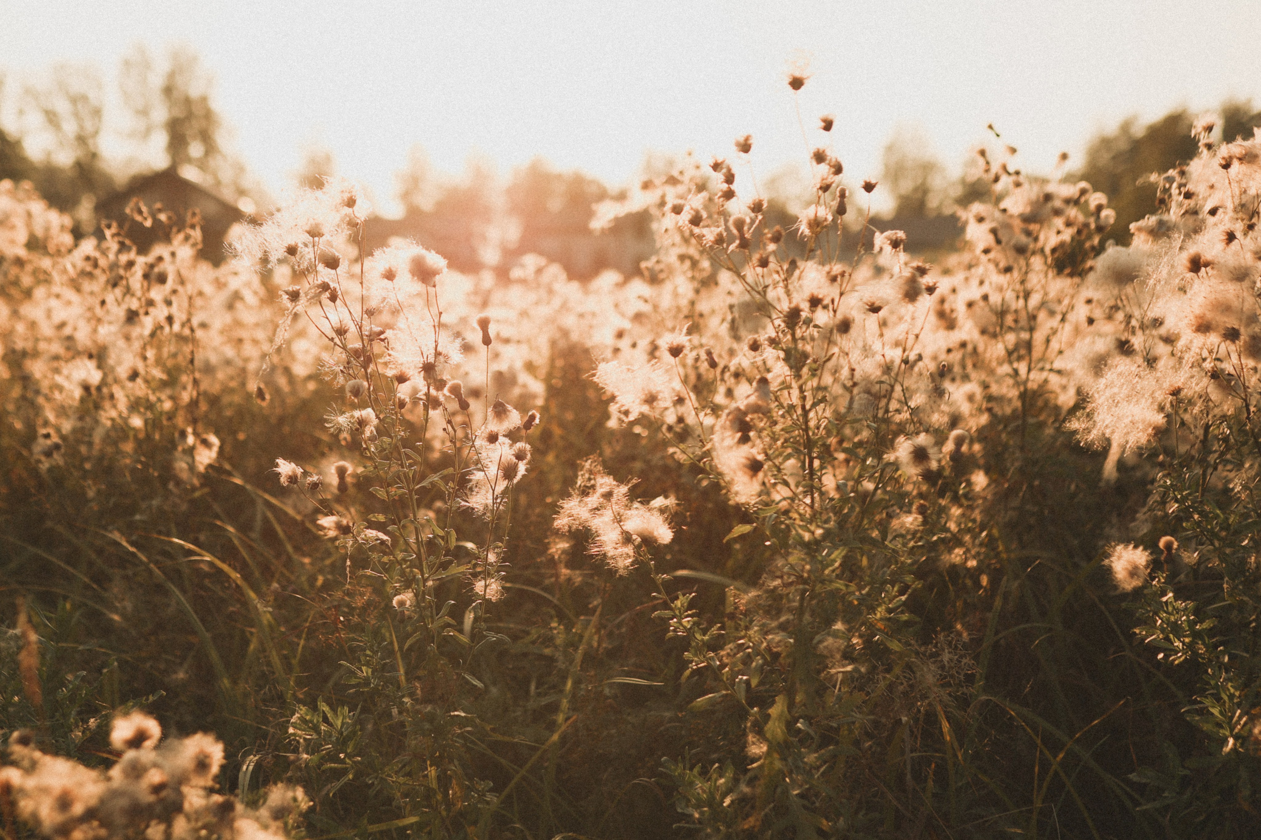 Как кино. Детский и семейный фотограф, съемка новорожденных Москва